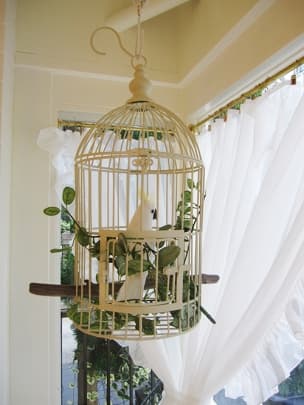 スペース画像 6