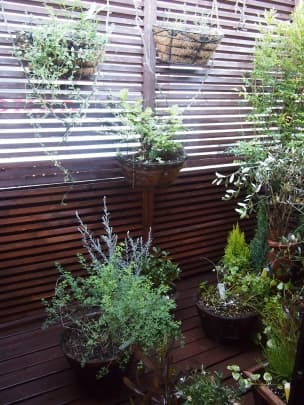 スペース画像 6