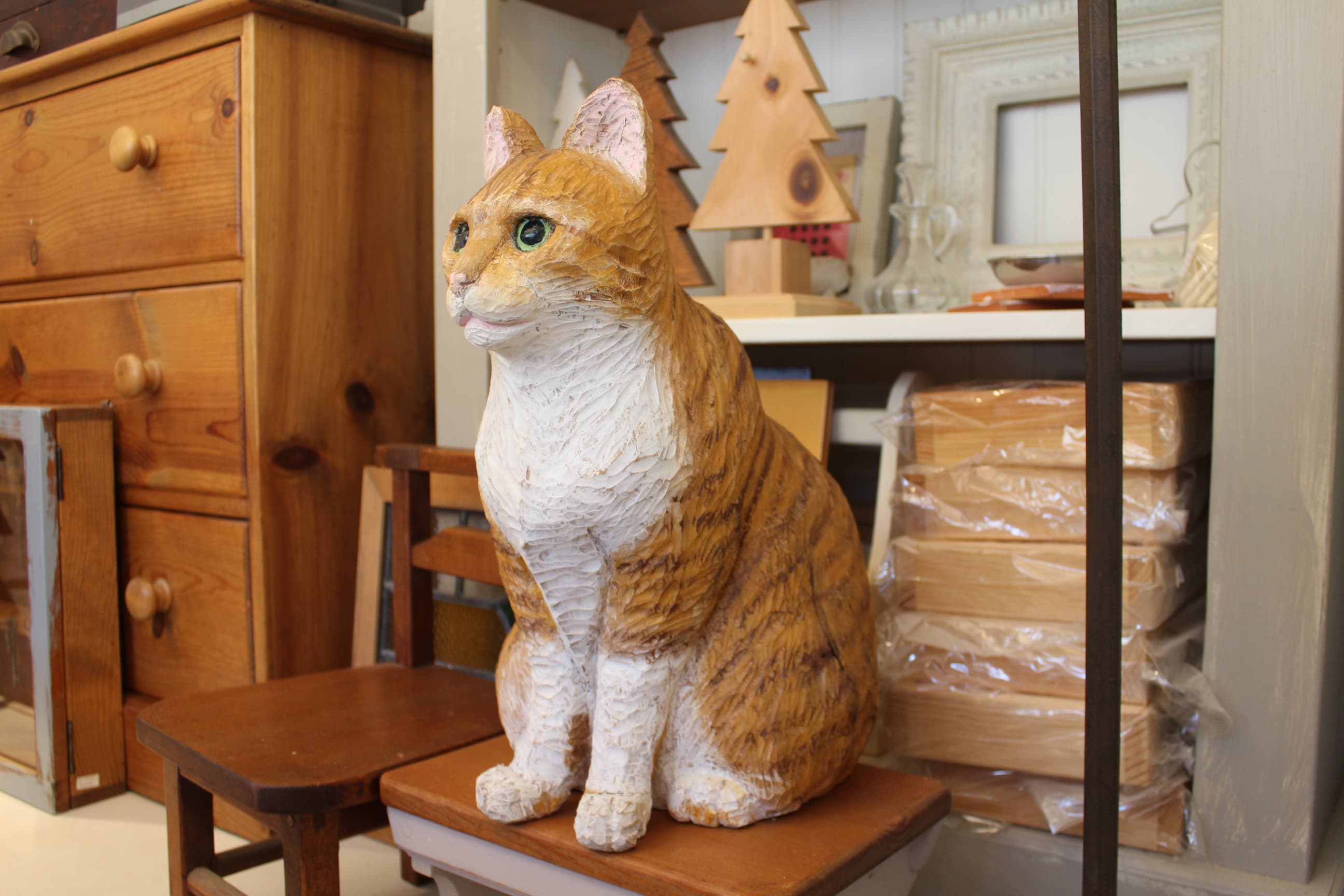 スペース画像 23