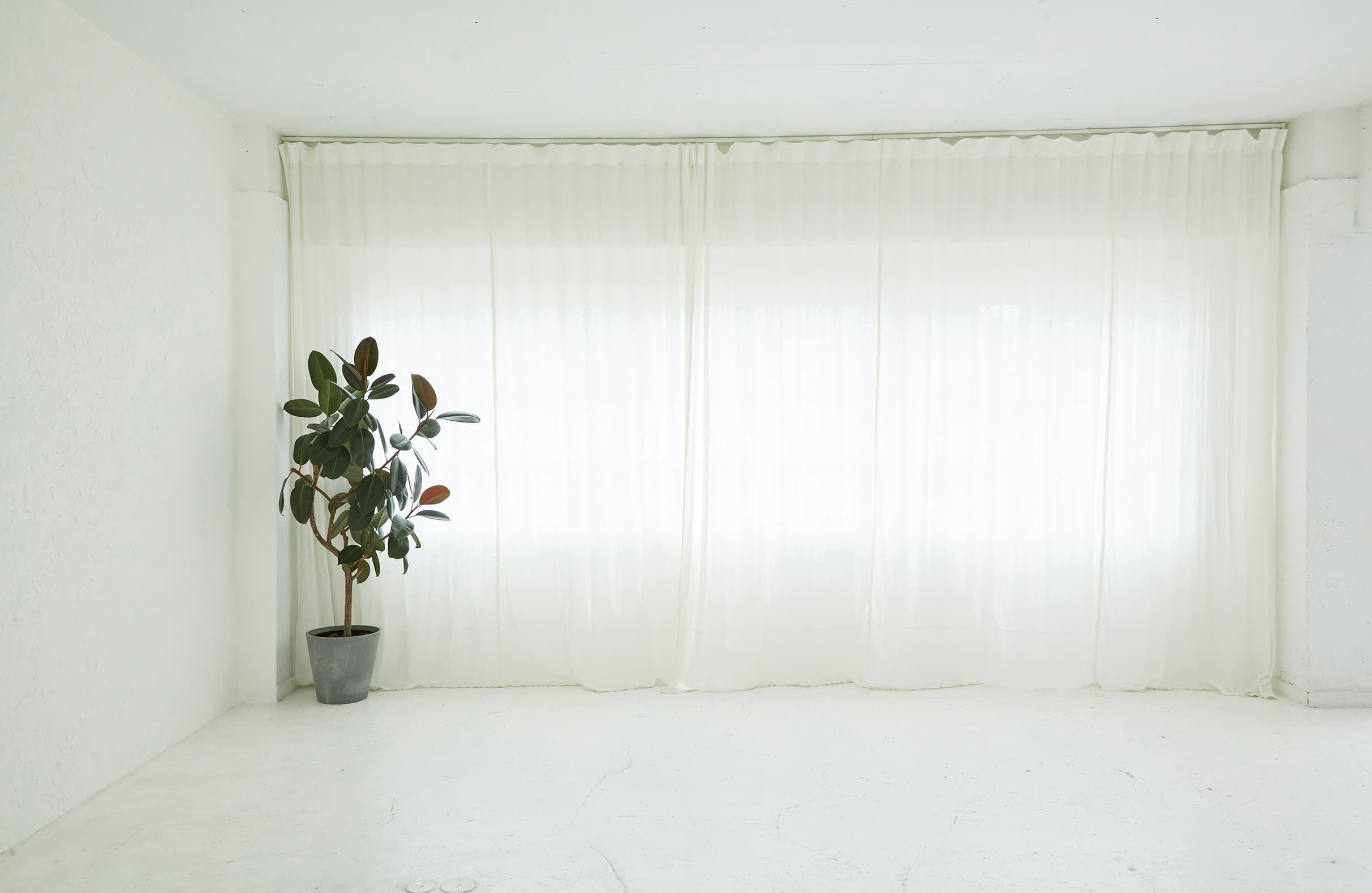 スペース画像 7