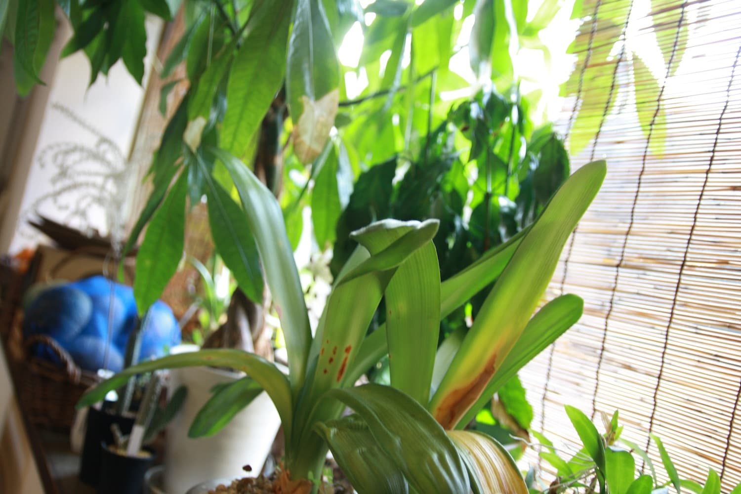 スペース画像 10