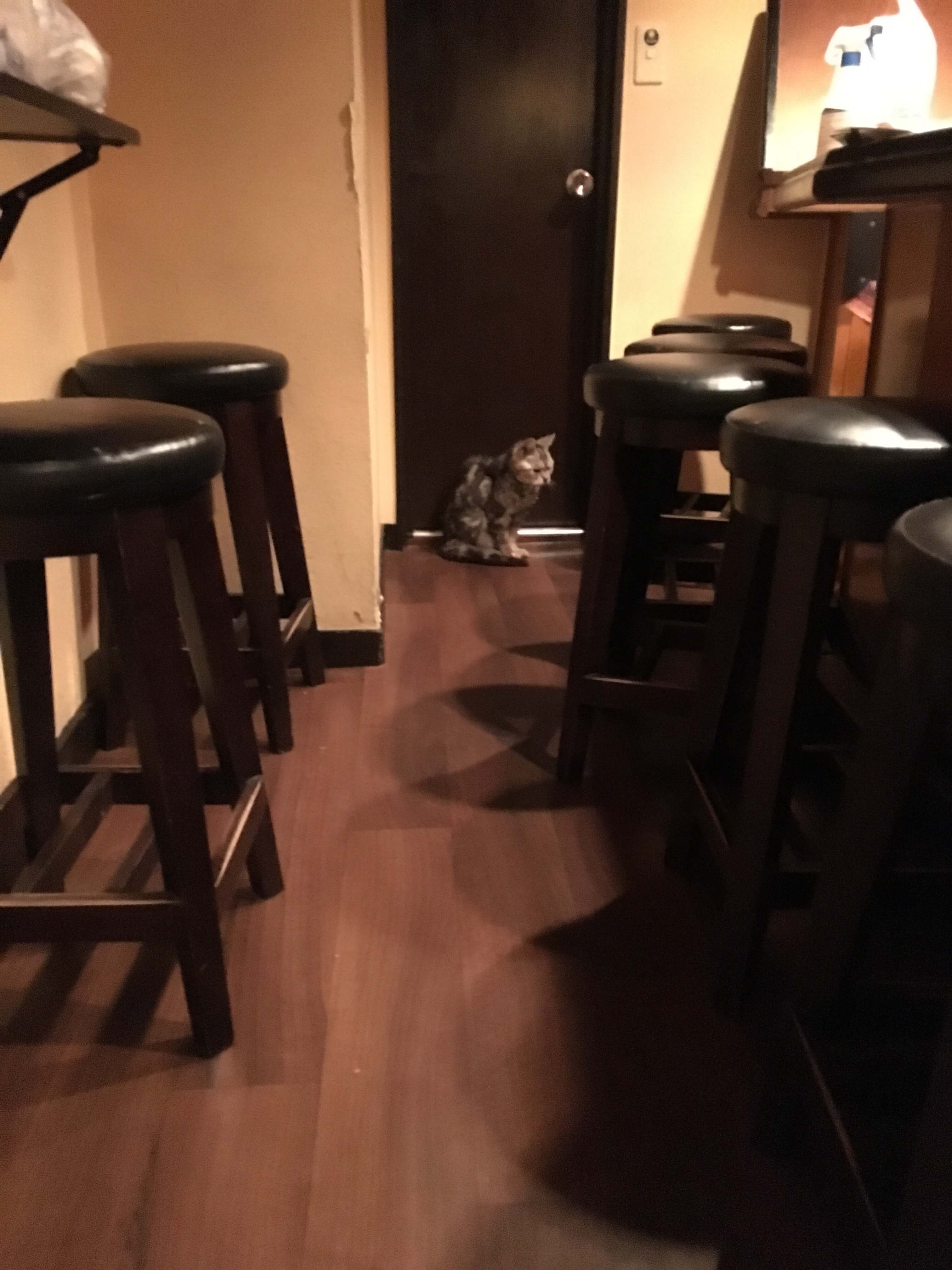 スペース画像 6