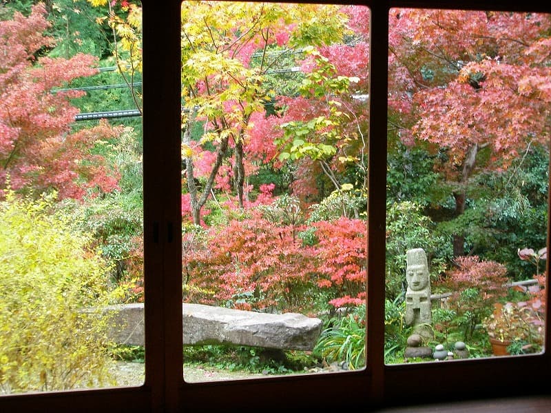 スペース画像 5