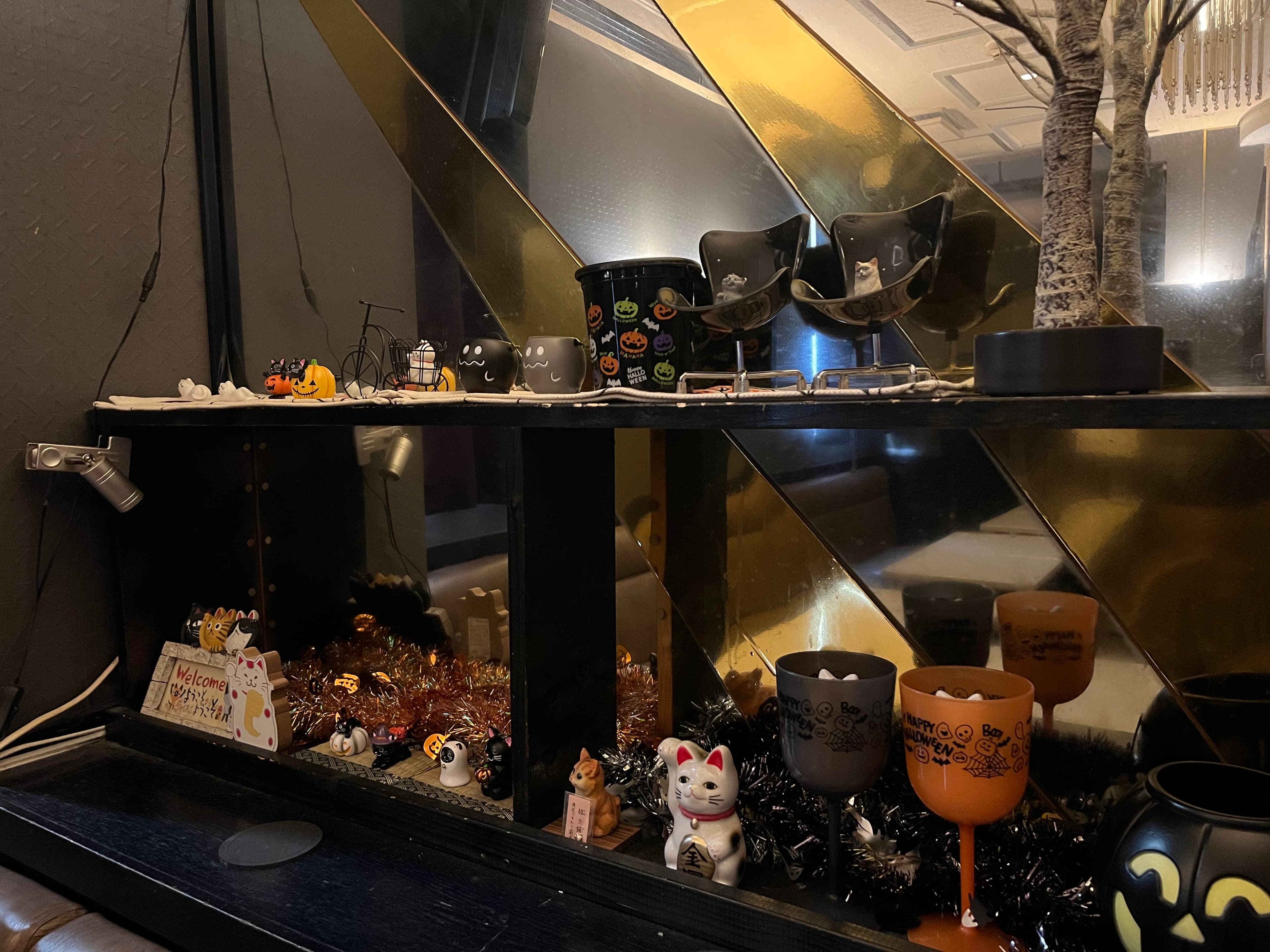 スペース画像 1