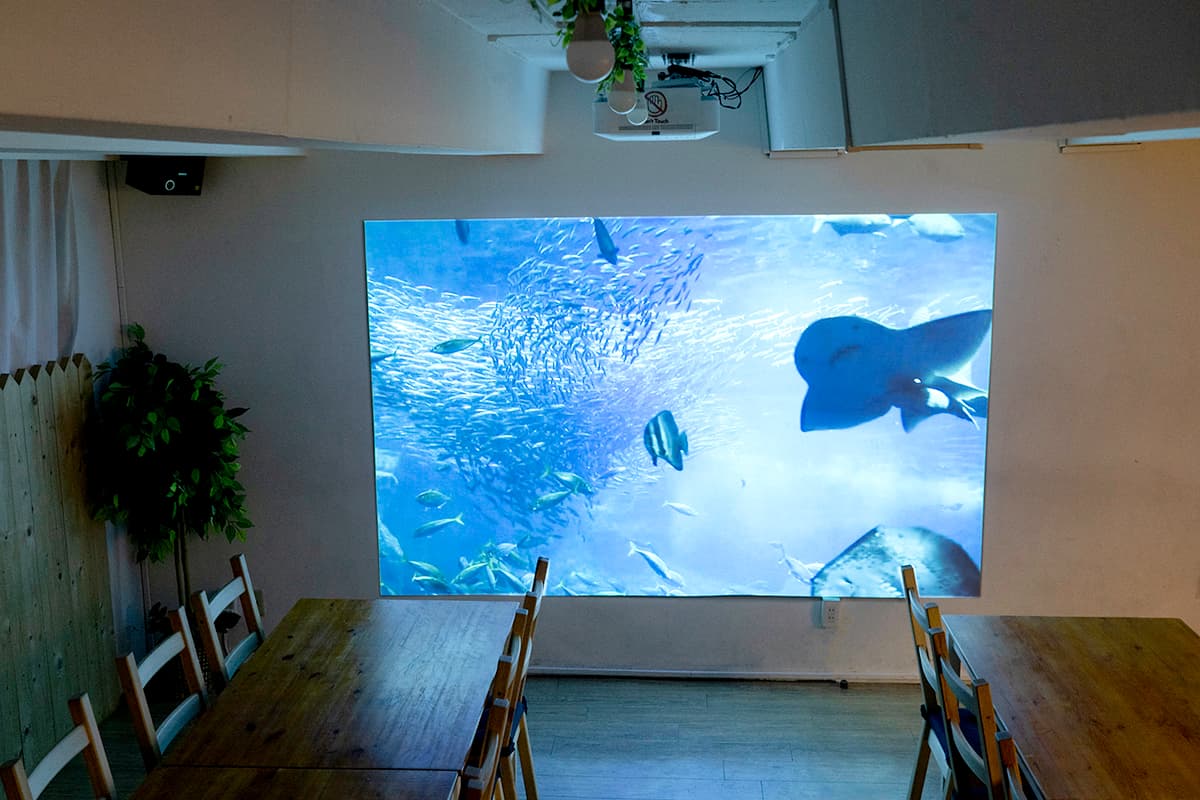 スペース画像 2