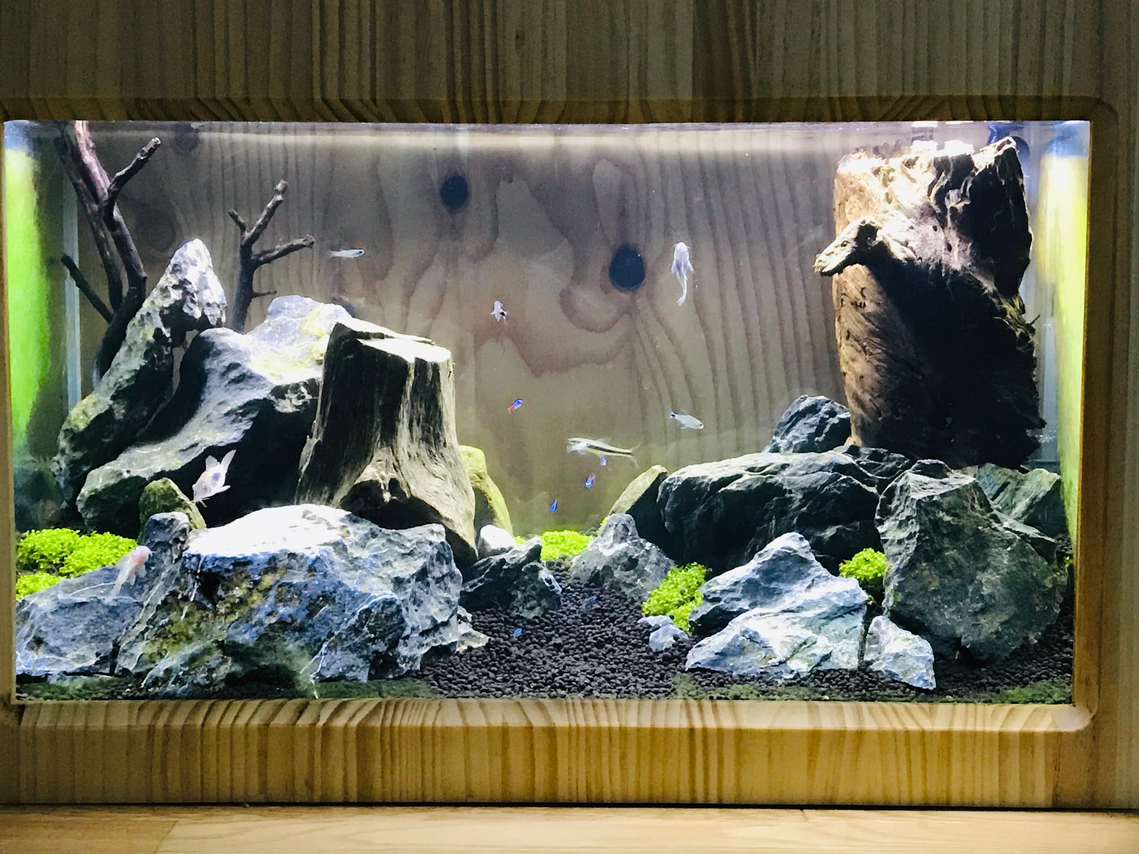 スペース画像 14