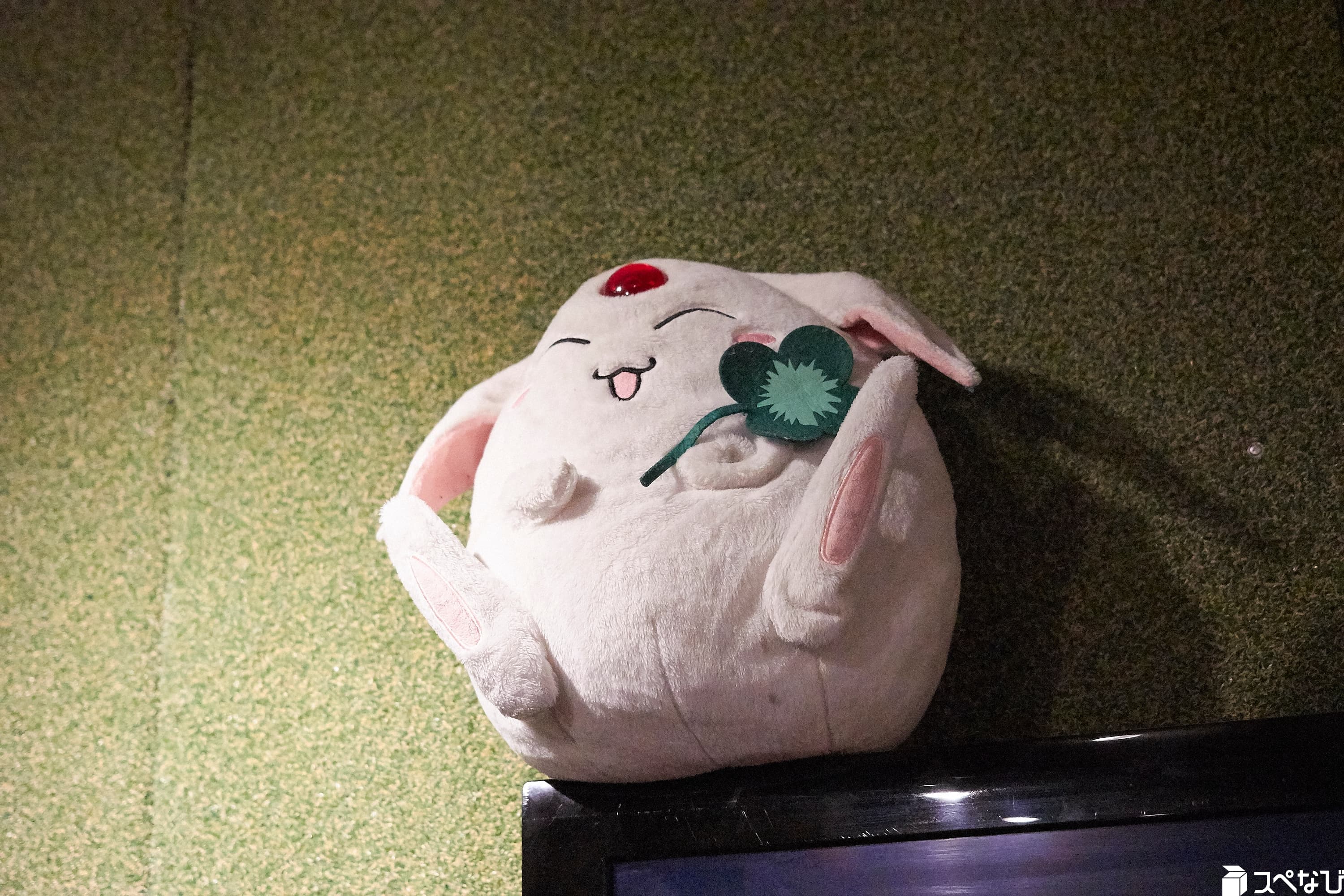 スペース画像 37