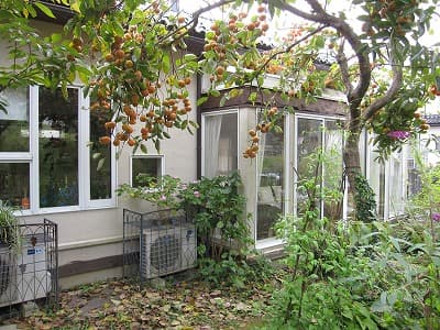 スペース画像 10