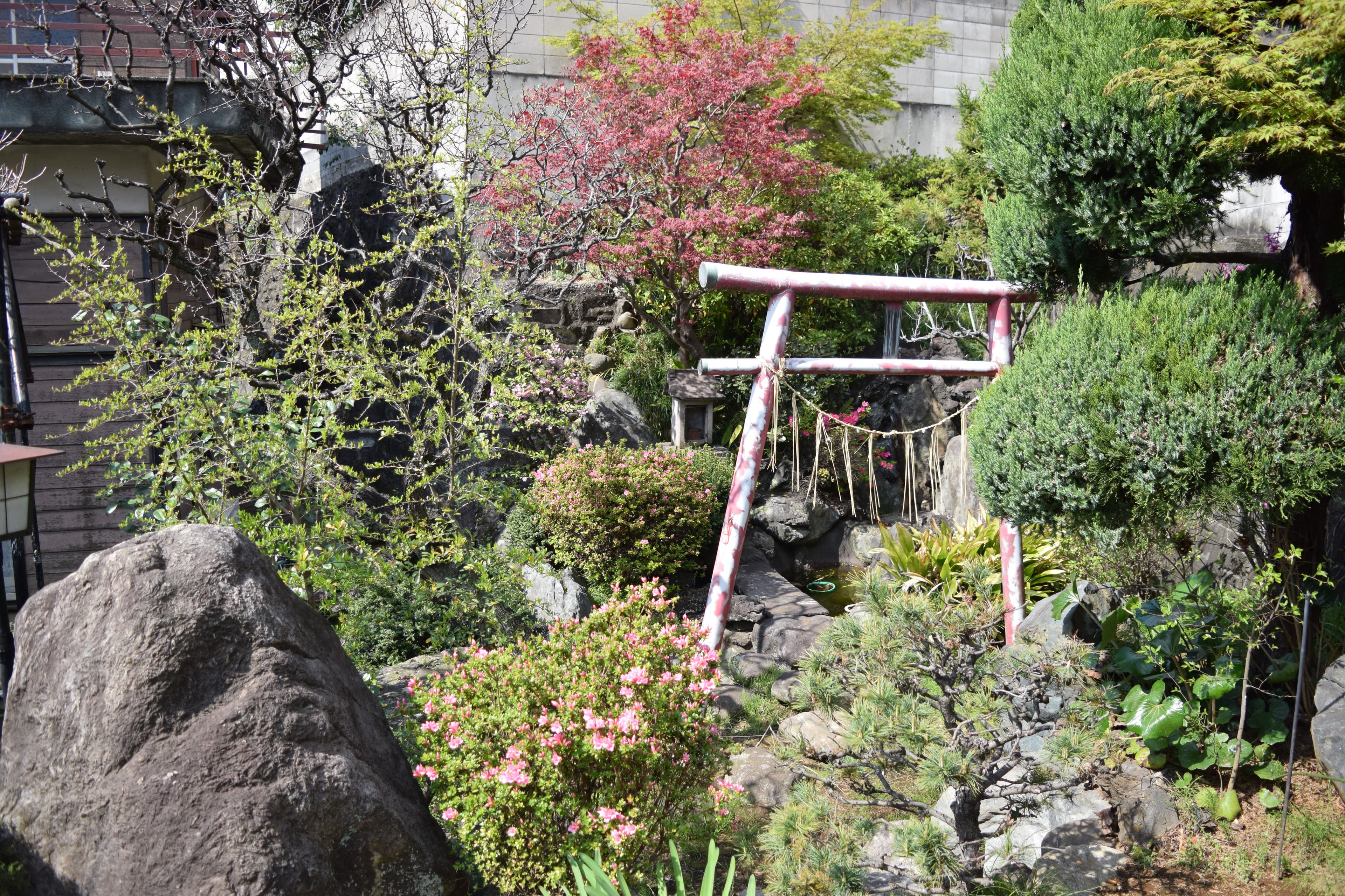 鳥居と小さな祠があります