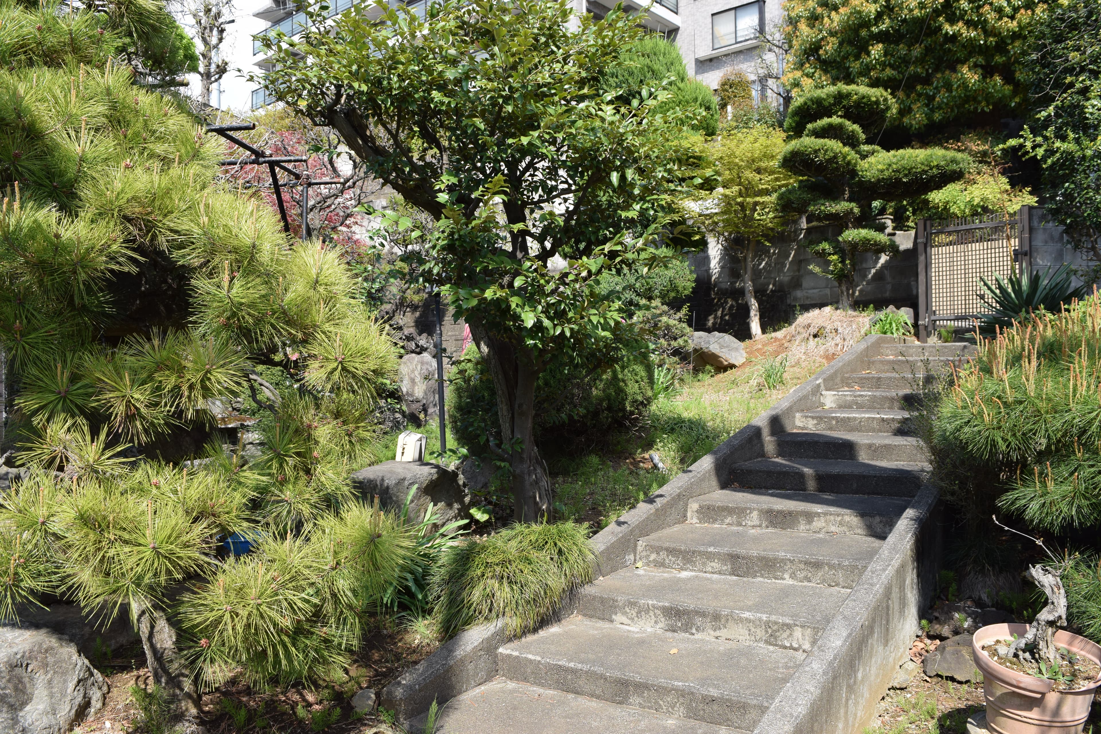 春から夏は緑が多く繁ります