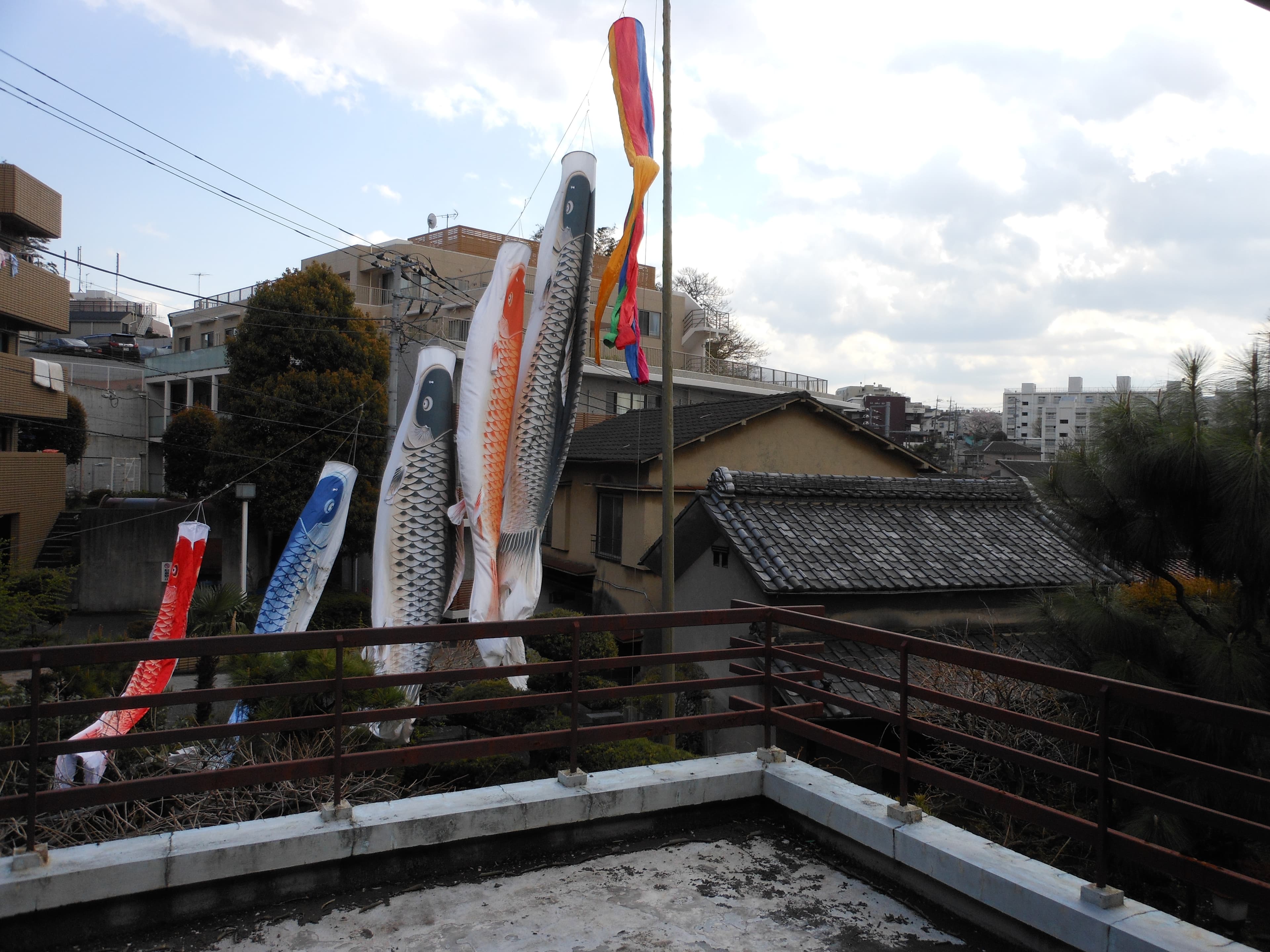 ベランダからの眺め