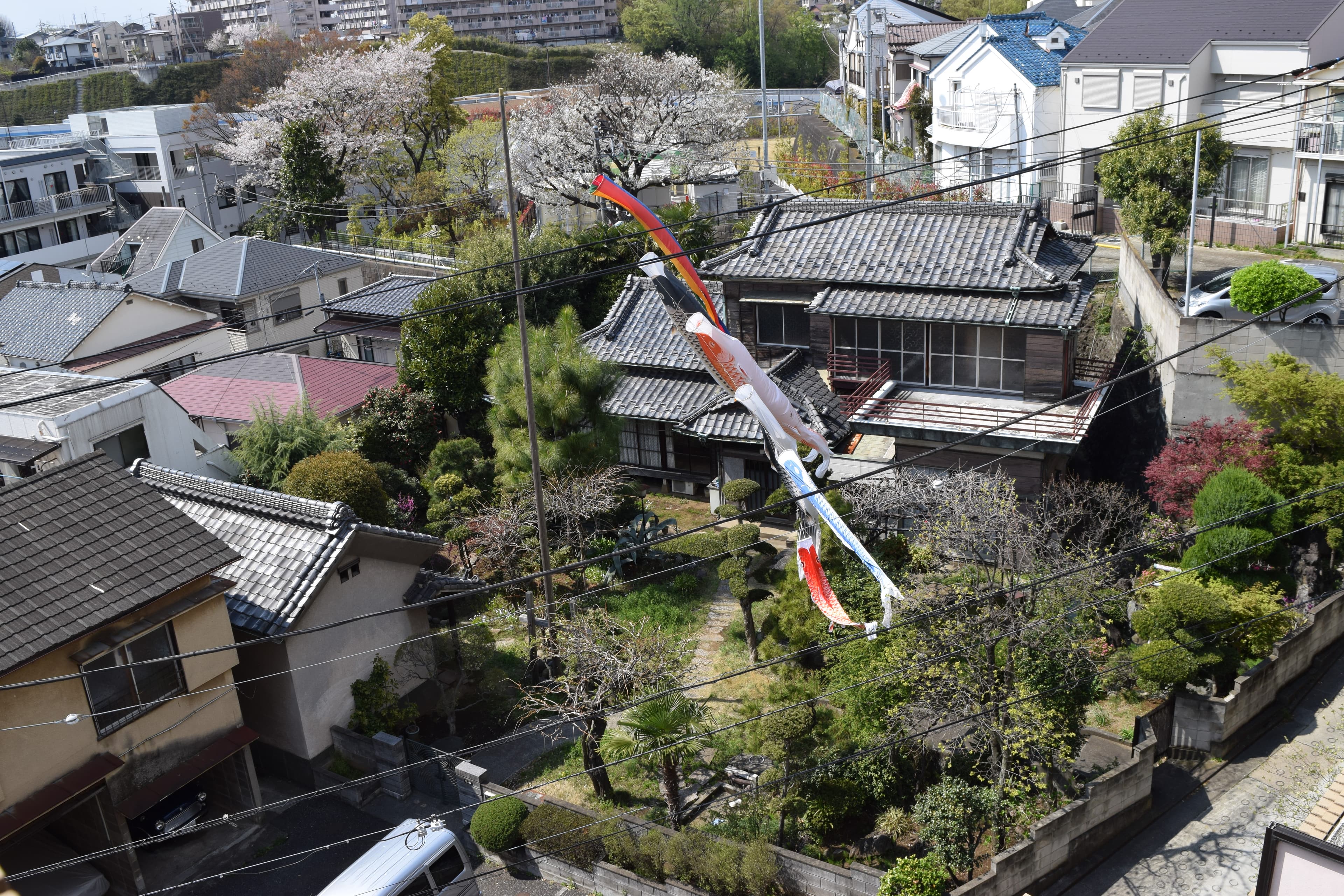 緑あふれる家です