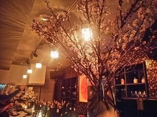 スペース画像 18