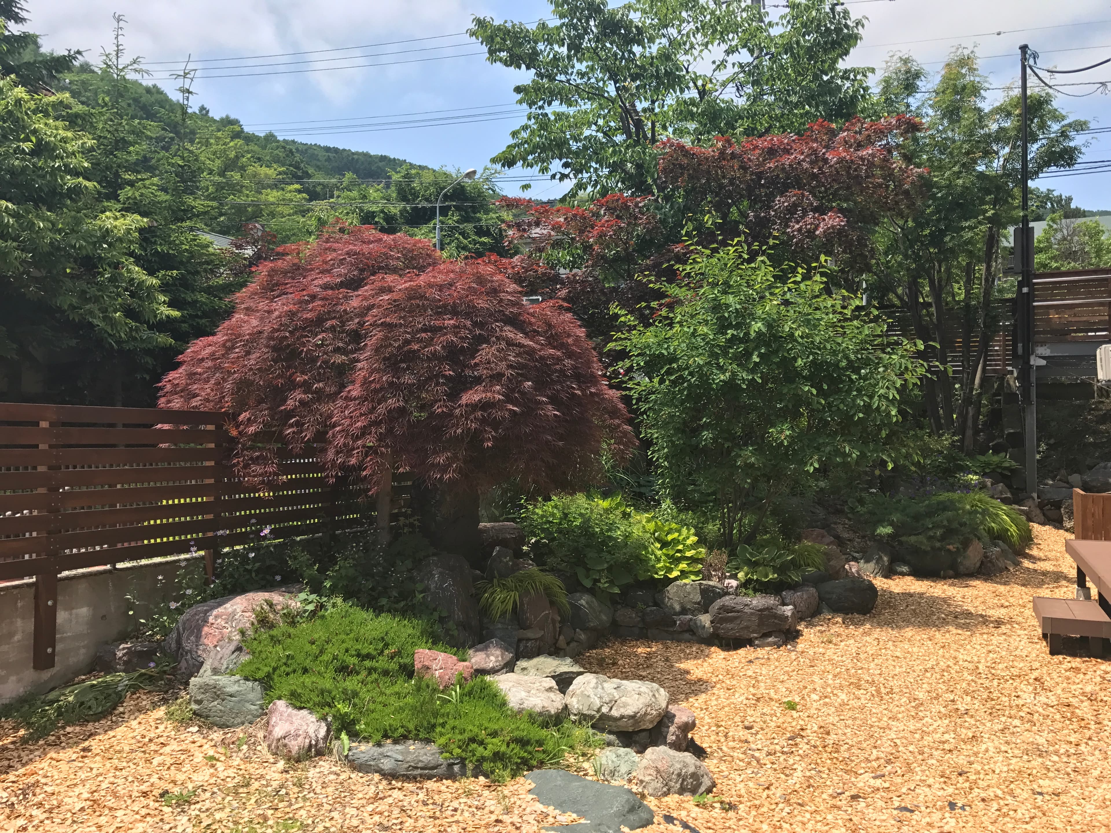 広々としたロックガーデンには、1年中赤い赤紅葉が綺麗に彩る。