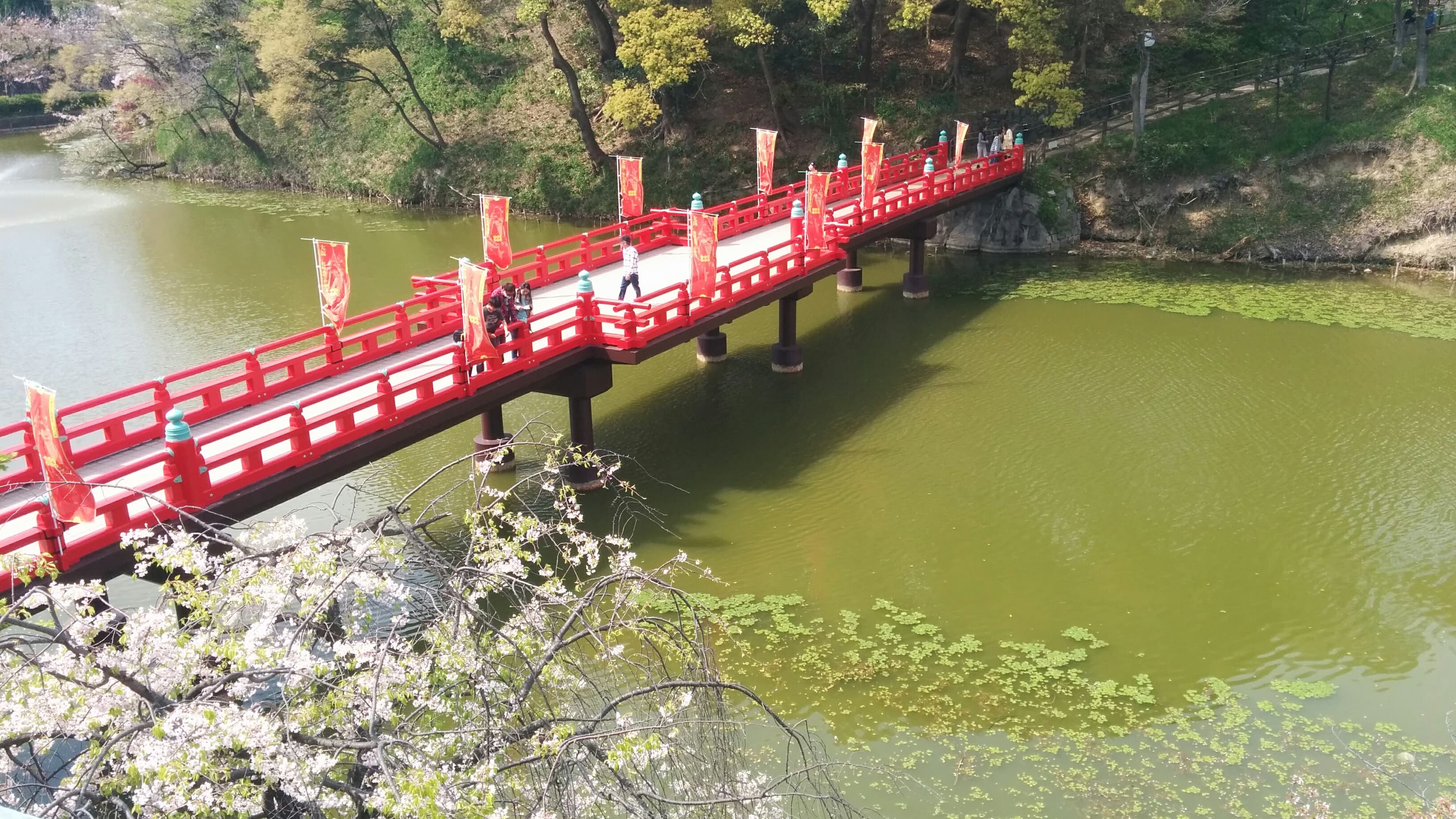 スペース画像 20