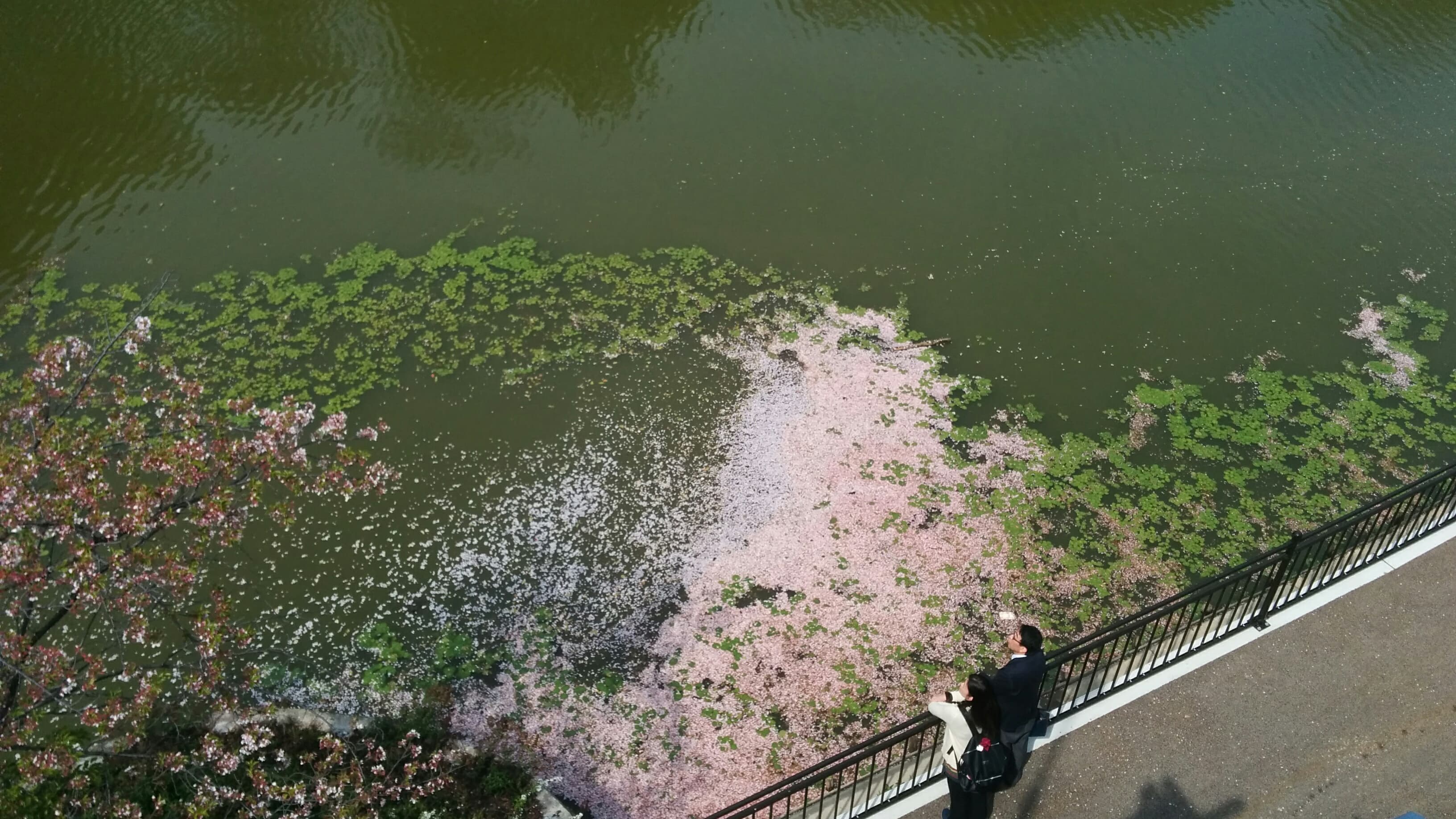 スペース画像 21