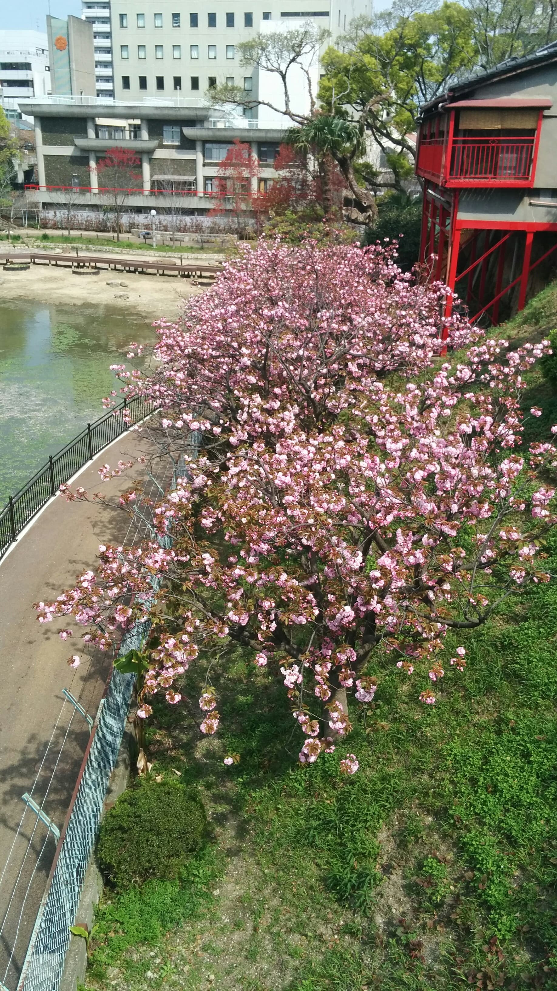 スペース画像 22