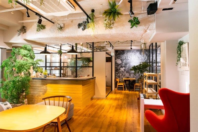 スペース画像 2