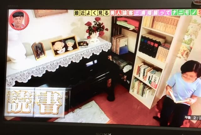 (TV再現ビデオ撮影)