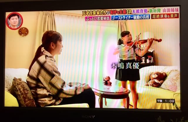 音楽家のTV番組再現ビデオ