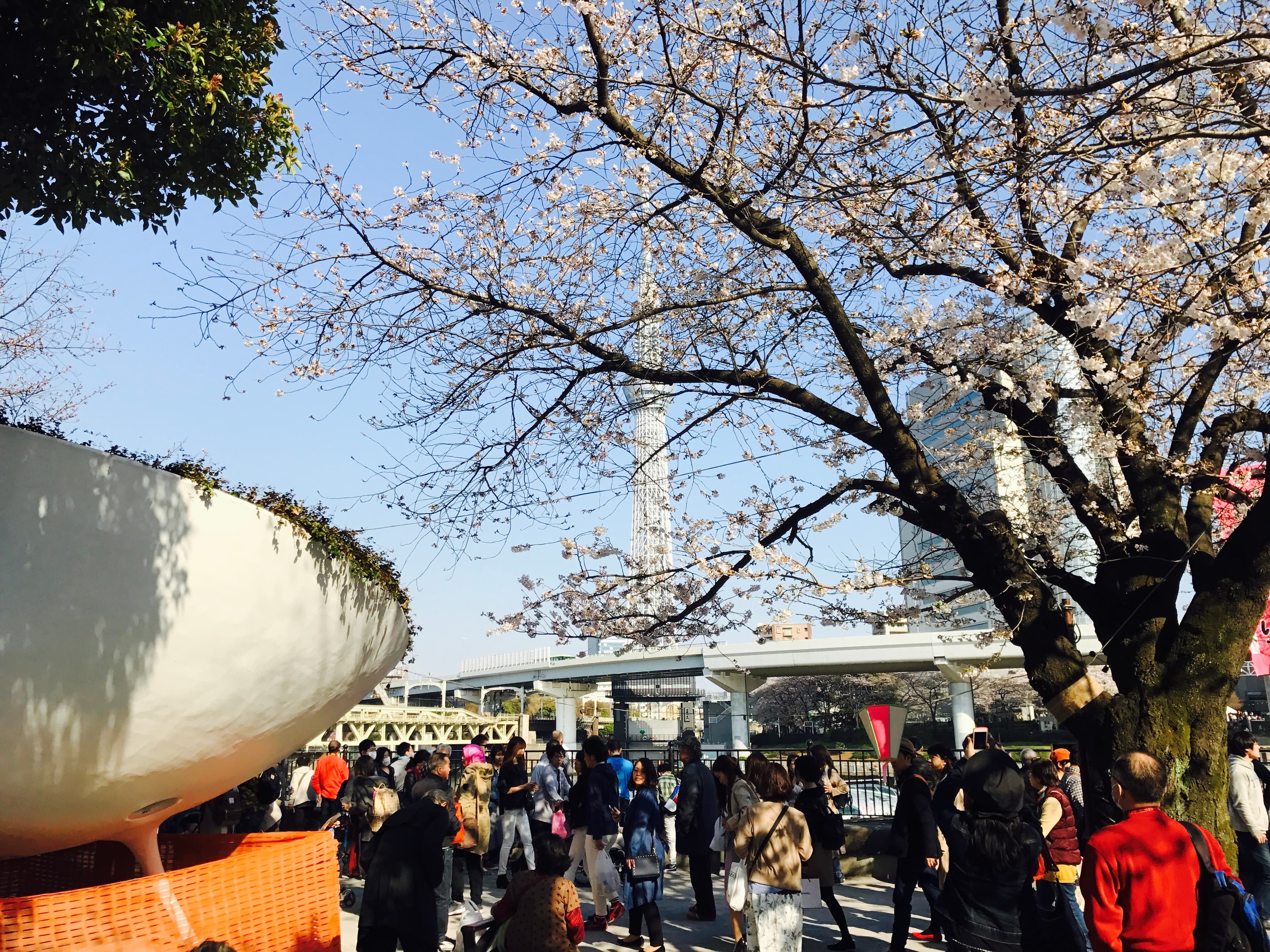 目の前が隅田川