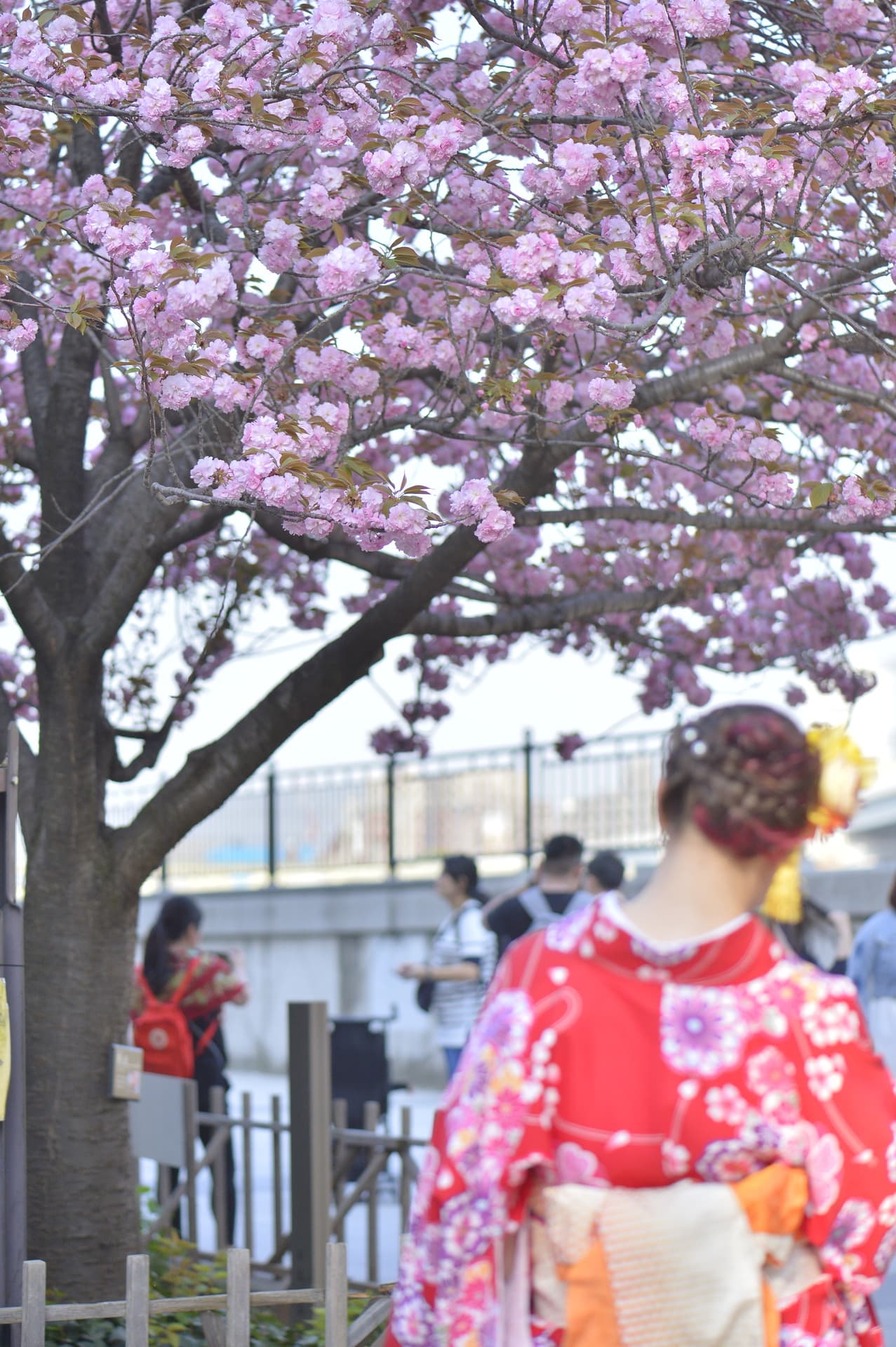 目の前が隅田川