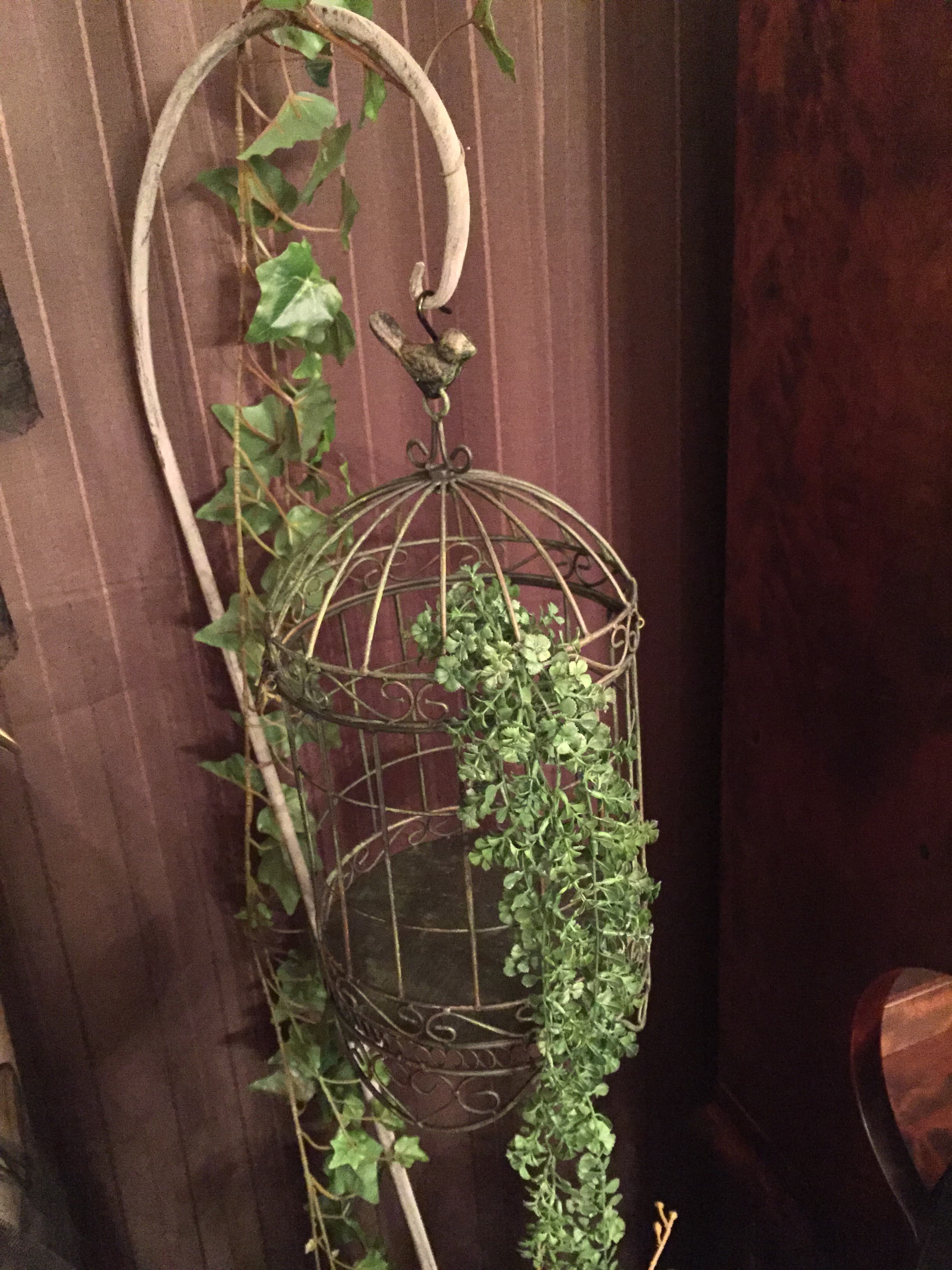 スペース画像 13