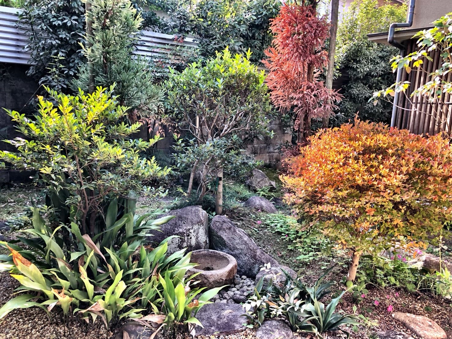 スペース画像 15