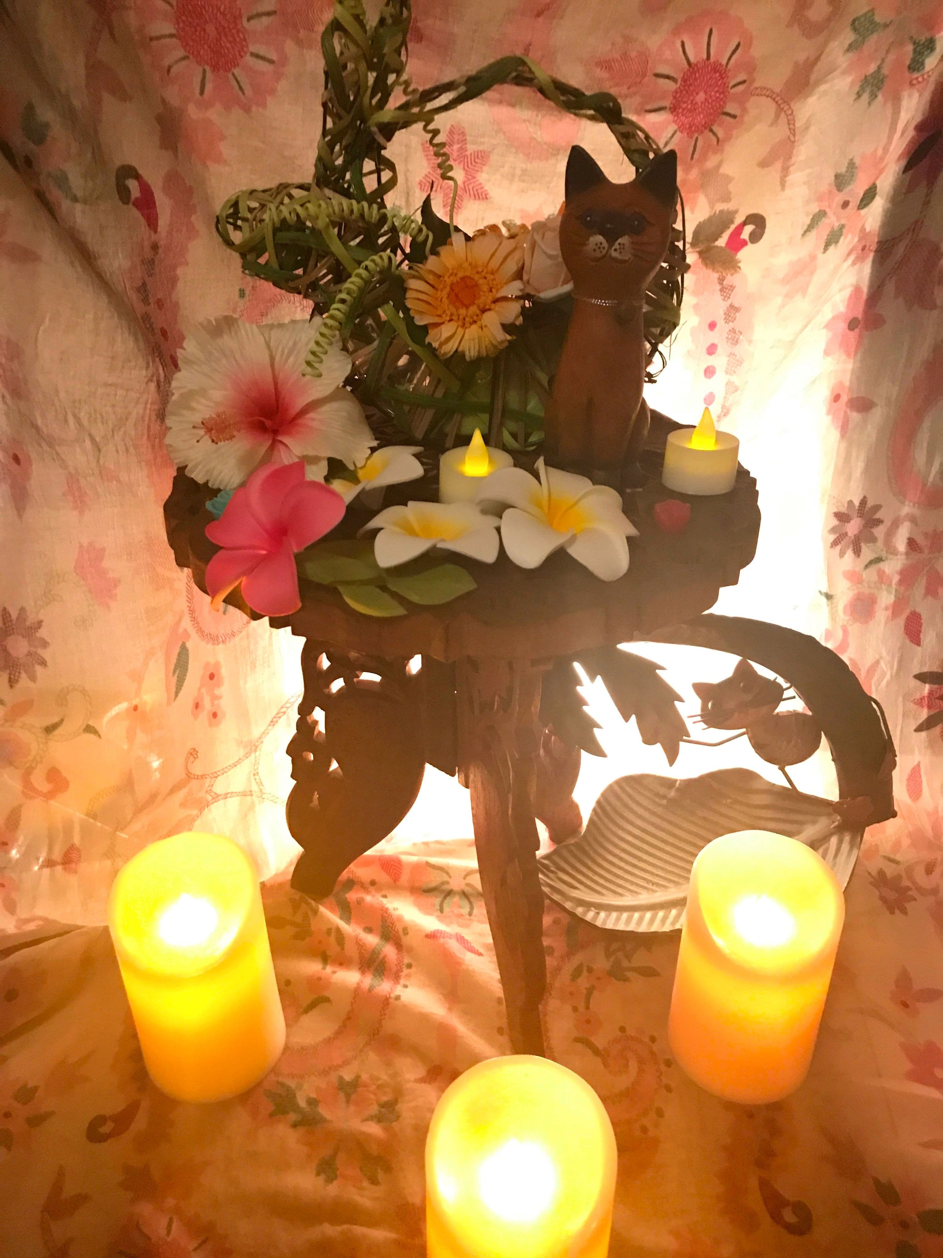 スペース画像 5