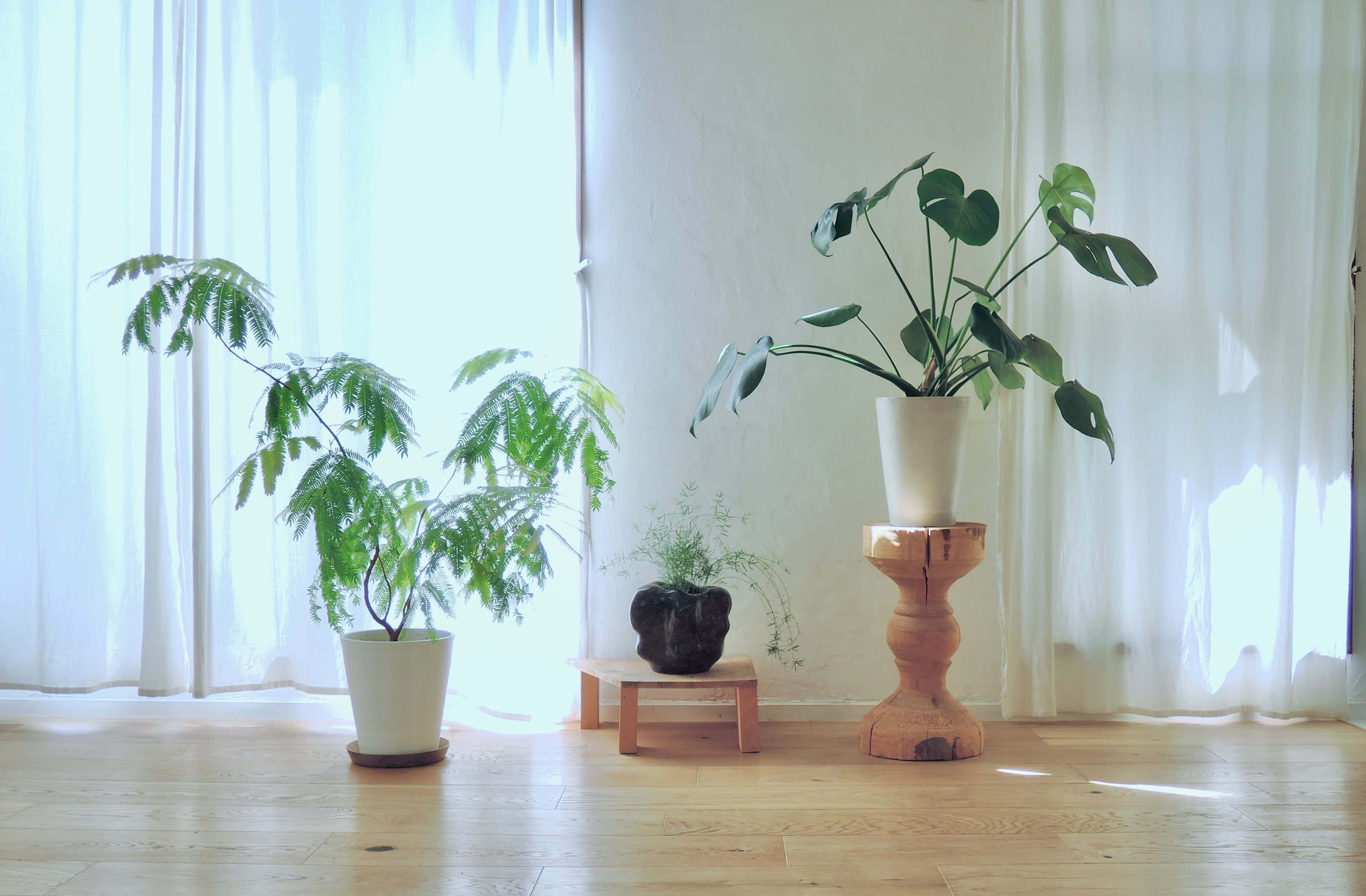 スペース画像 11