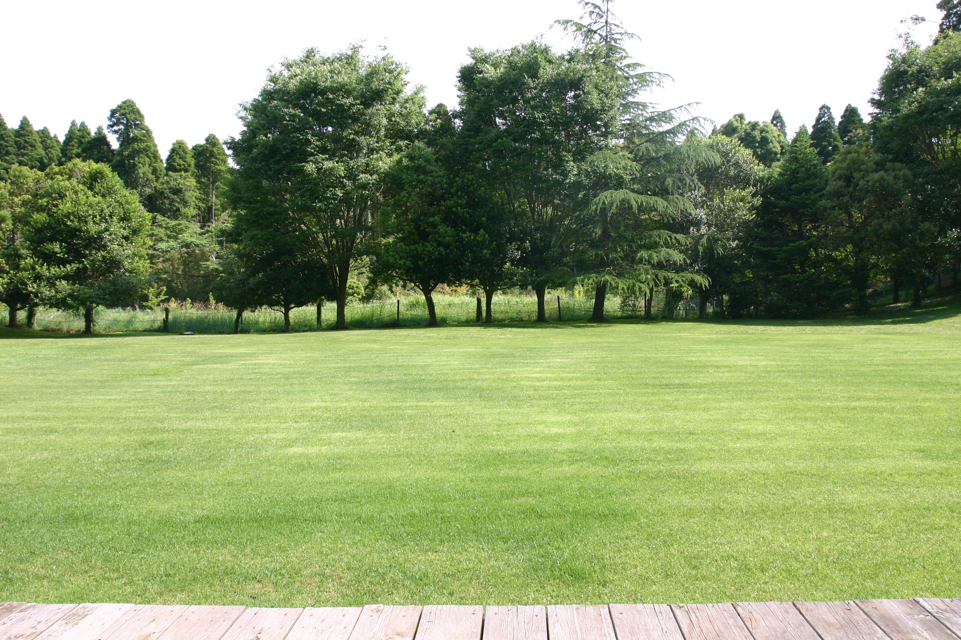 スペース画像 1