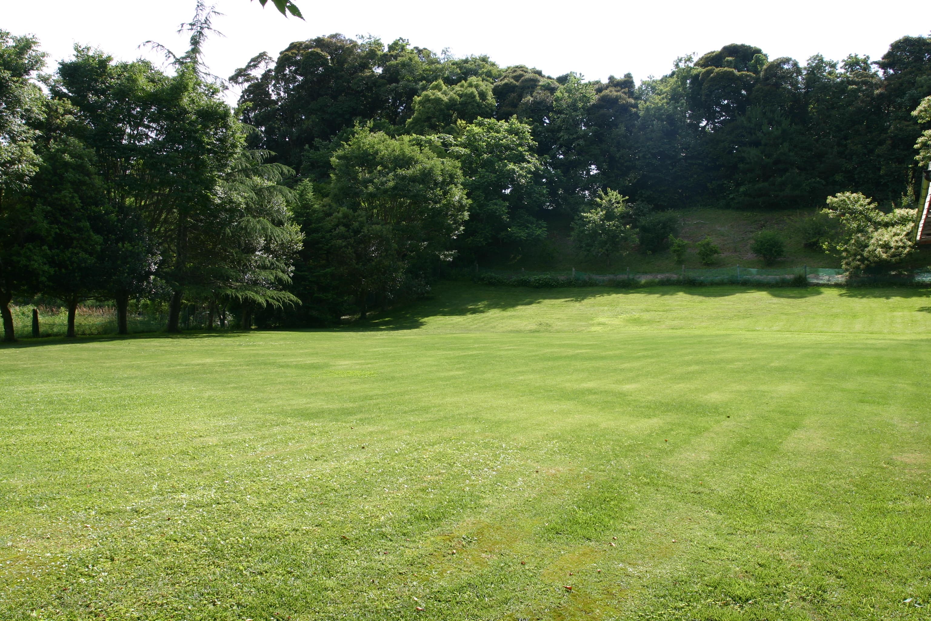 スペース画像 4