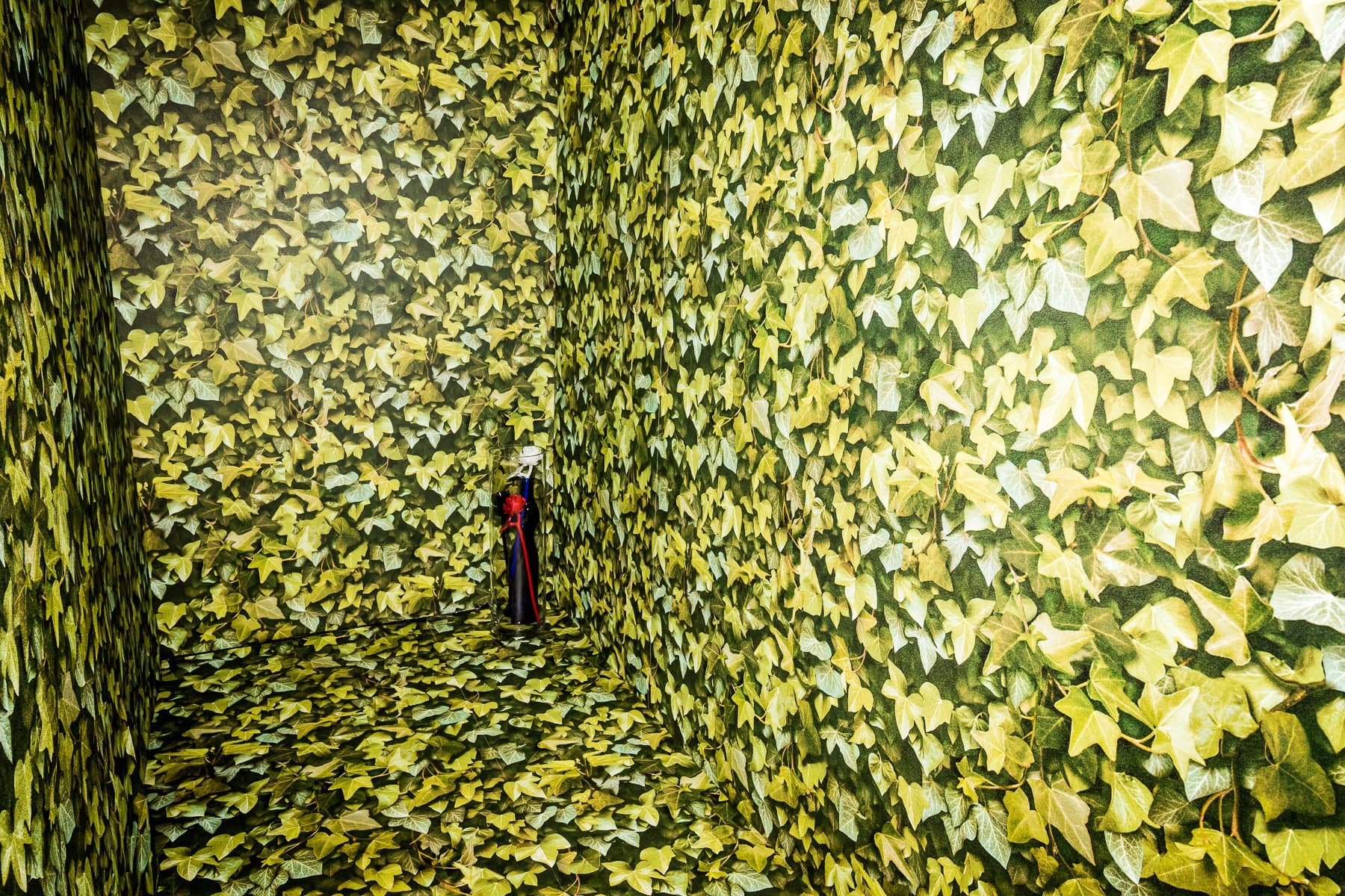 スペース画像 5