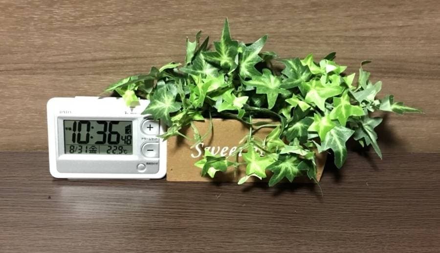 スペース画像 12