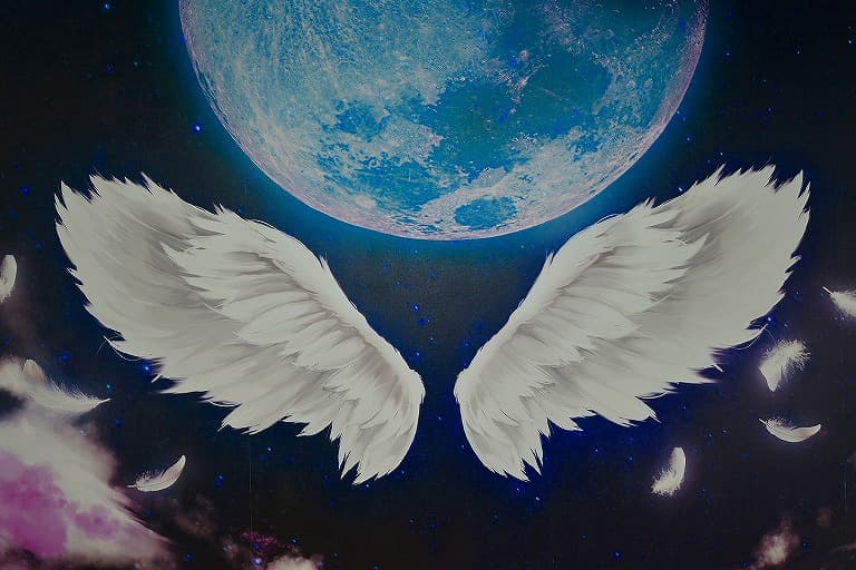 スペース画像 23