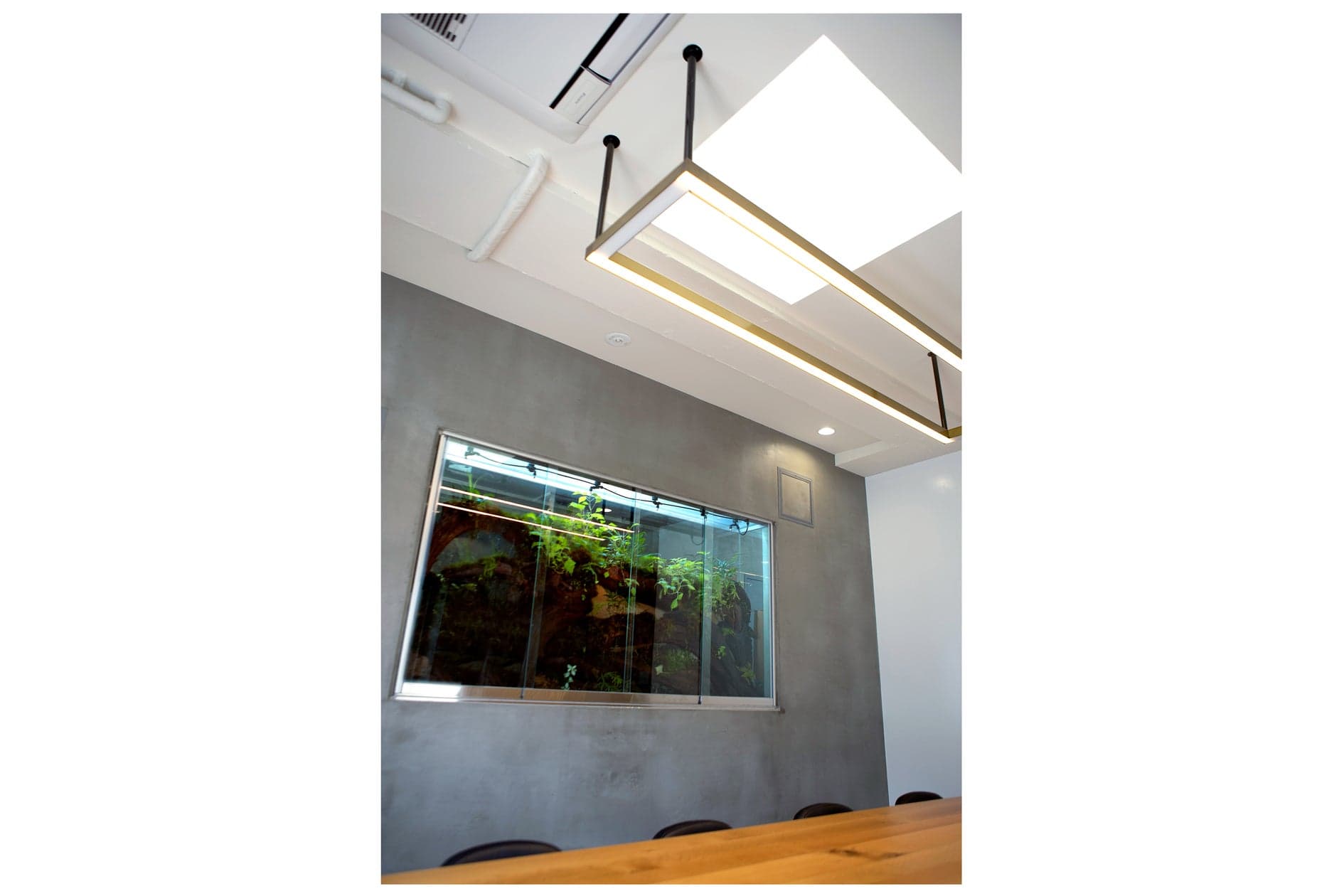 会議室から見えるパルダリウム