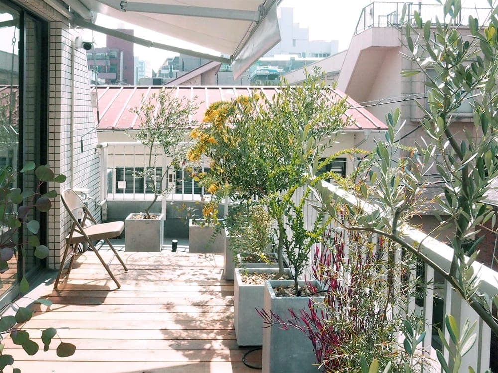 日当たりの良いバルコニー