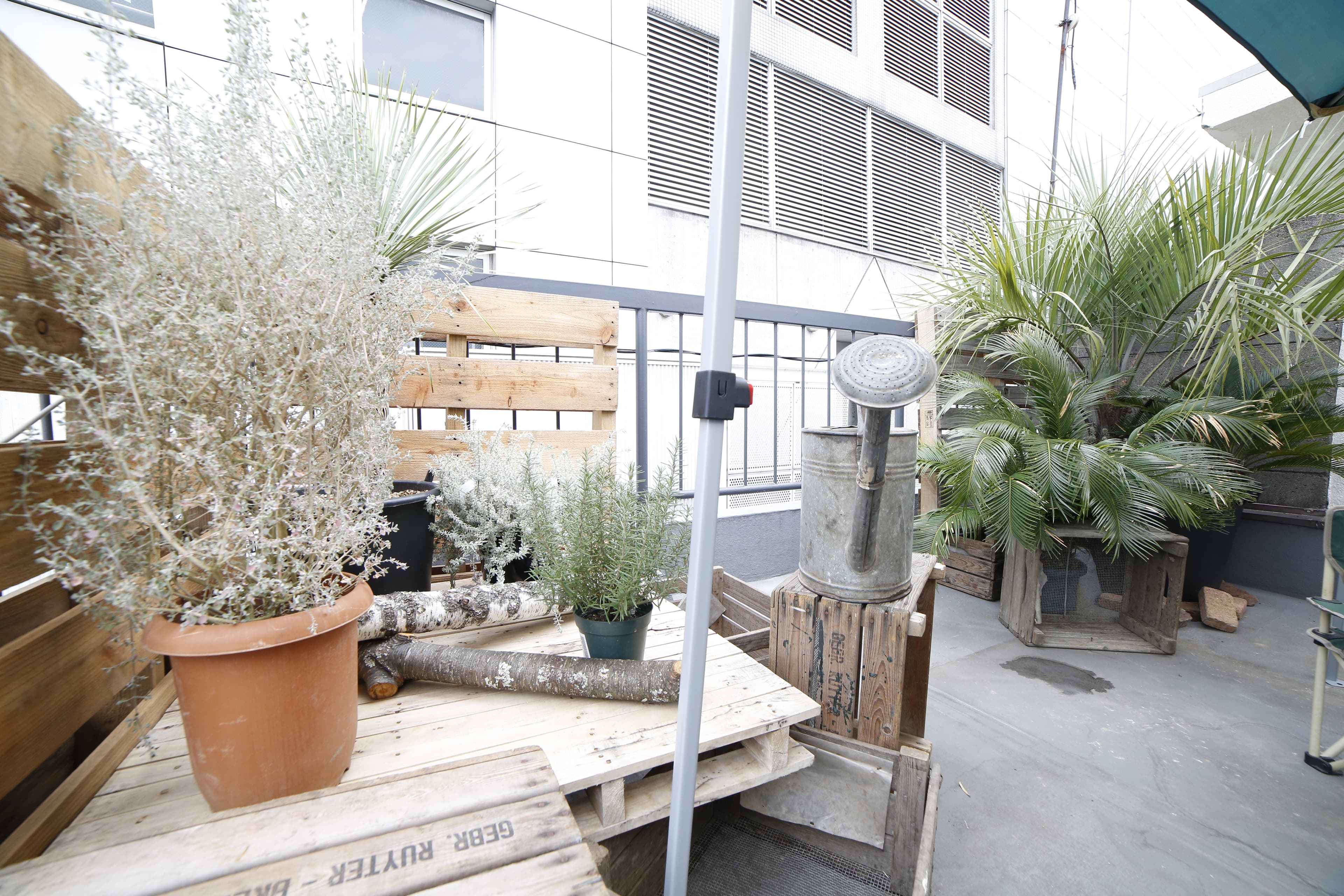 スペース画像 2