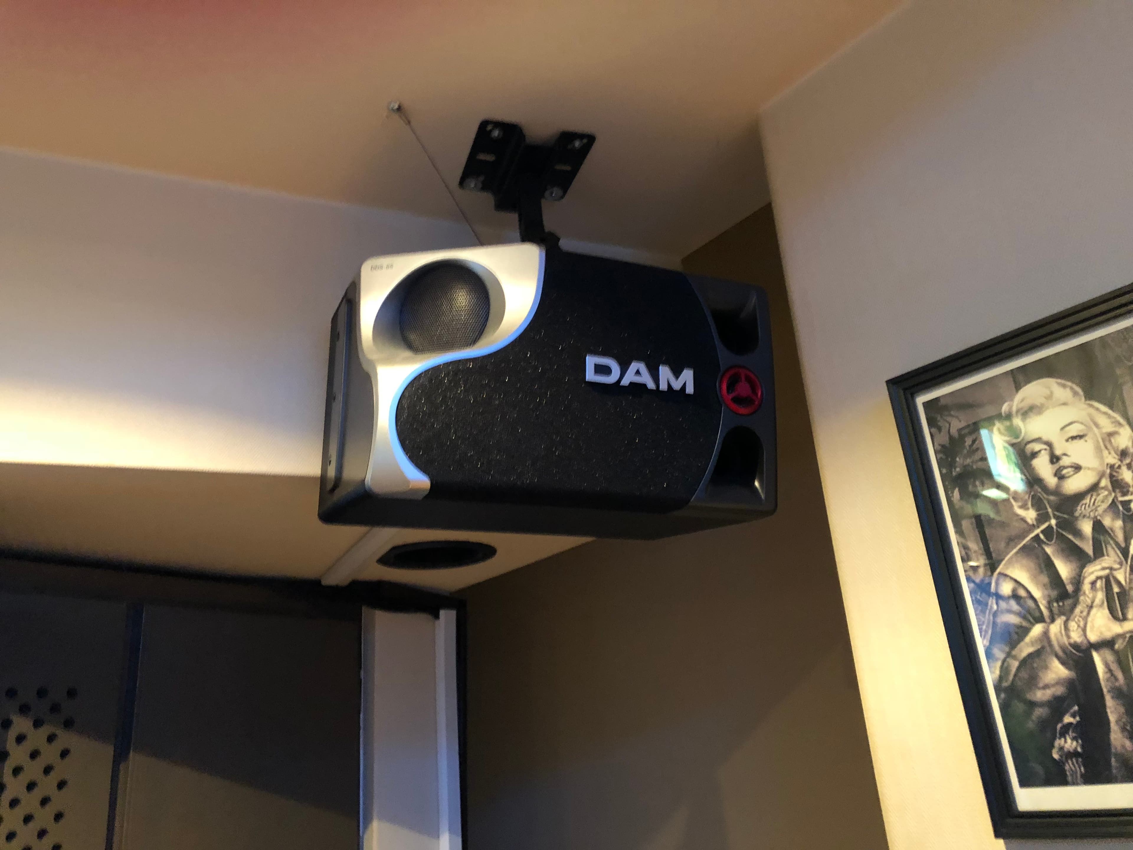 カラオケDAM完備!