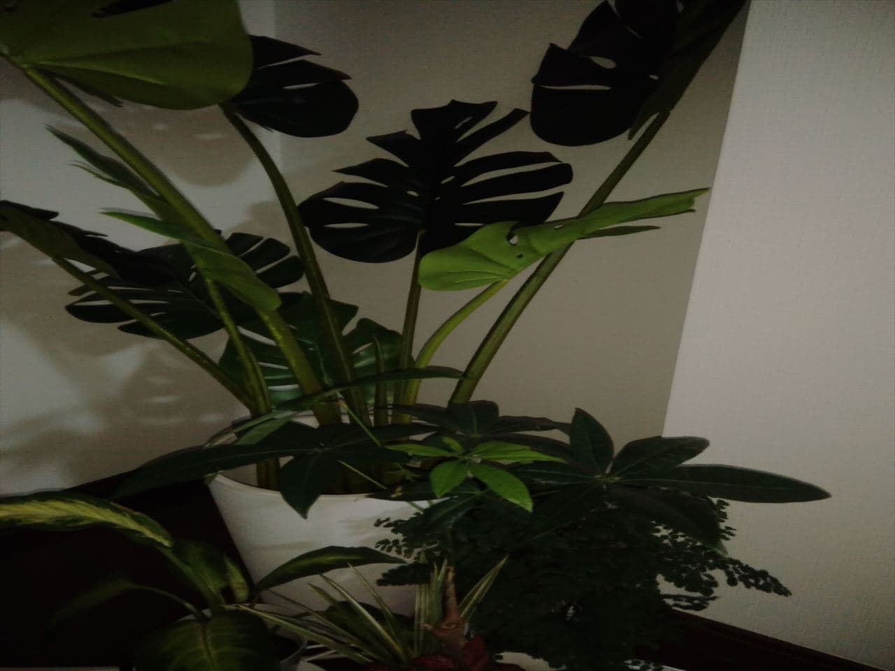 スペース画像 11