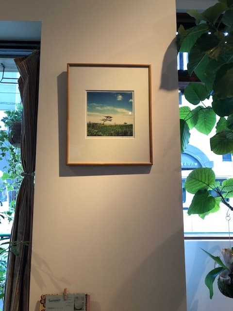 壁面アートギャラリー