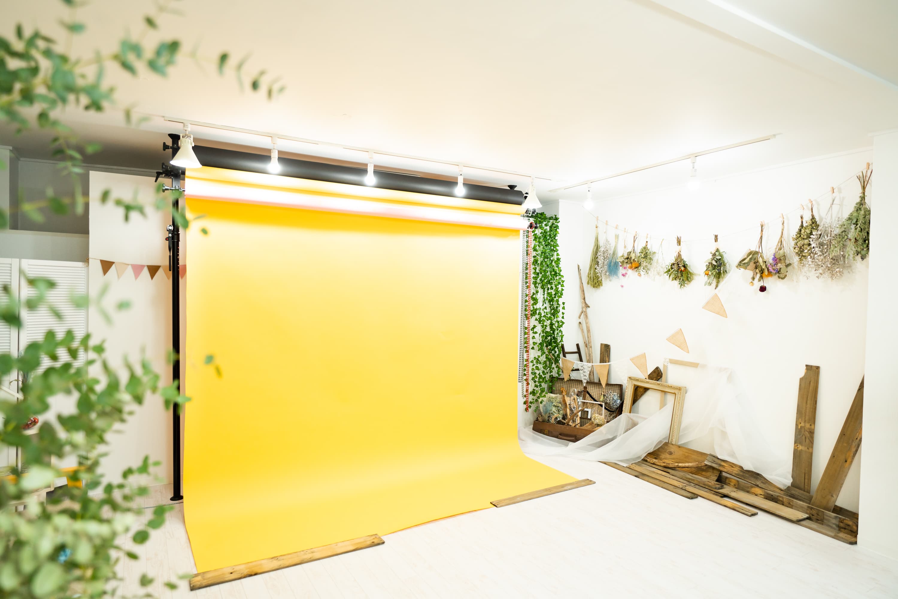 スペース画像 2