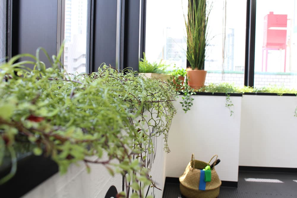 スペース画像 10