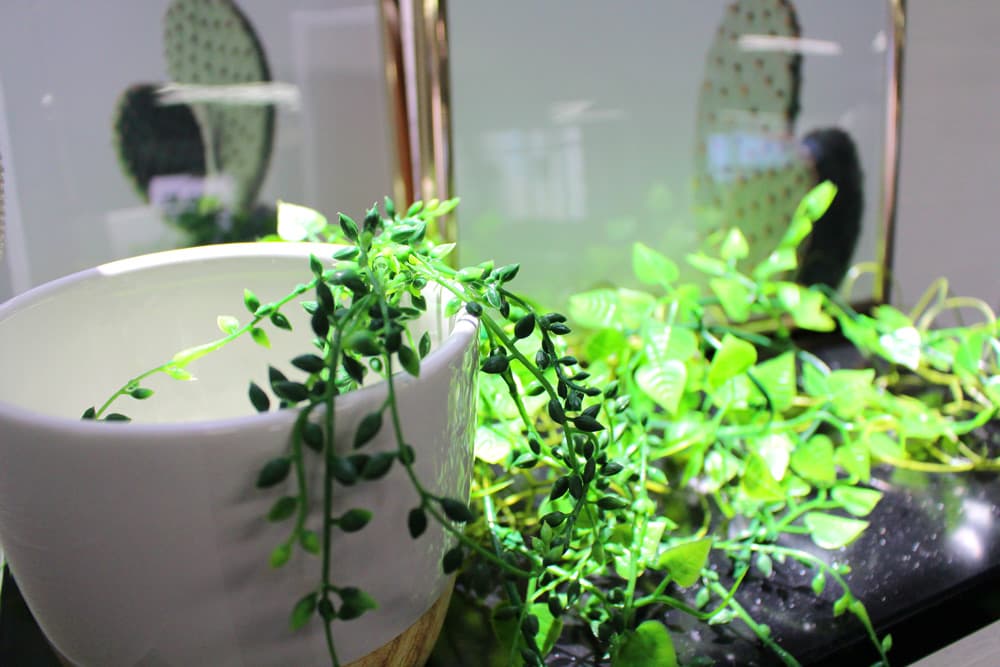 スペース画像 14