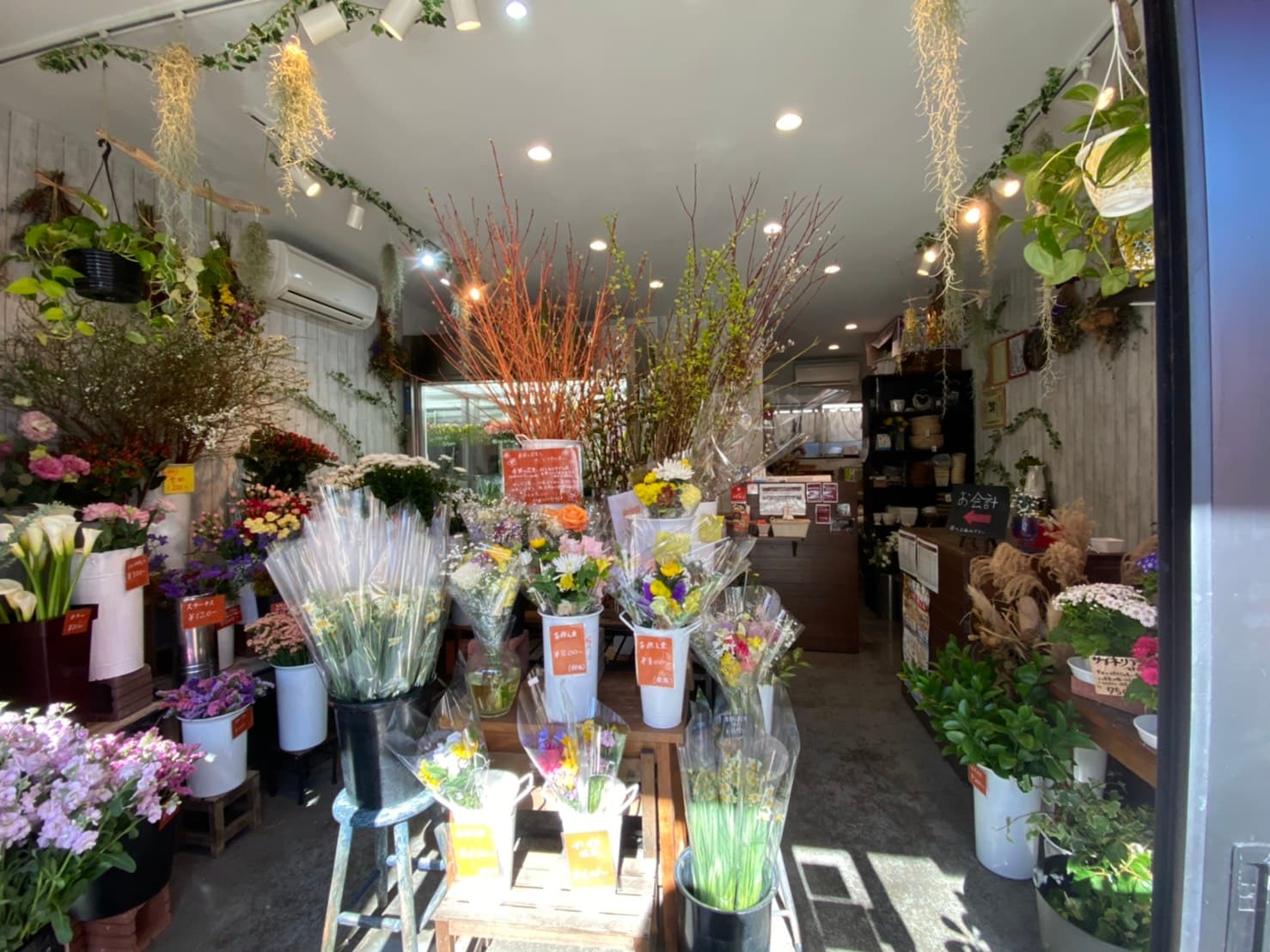 スペース画像 4