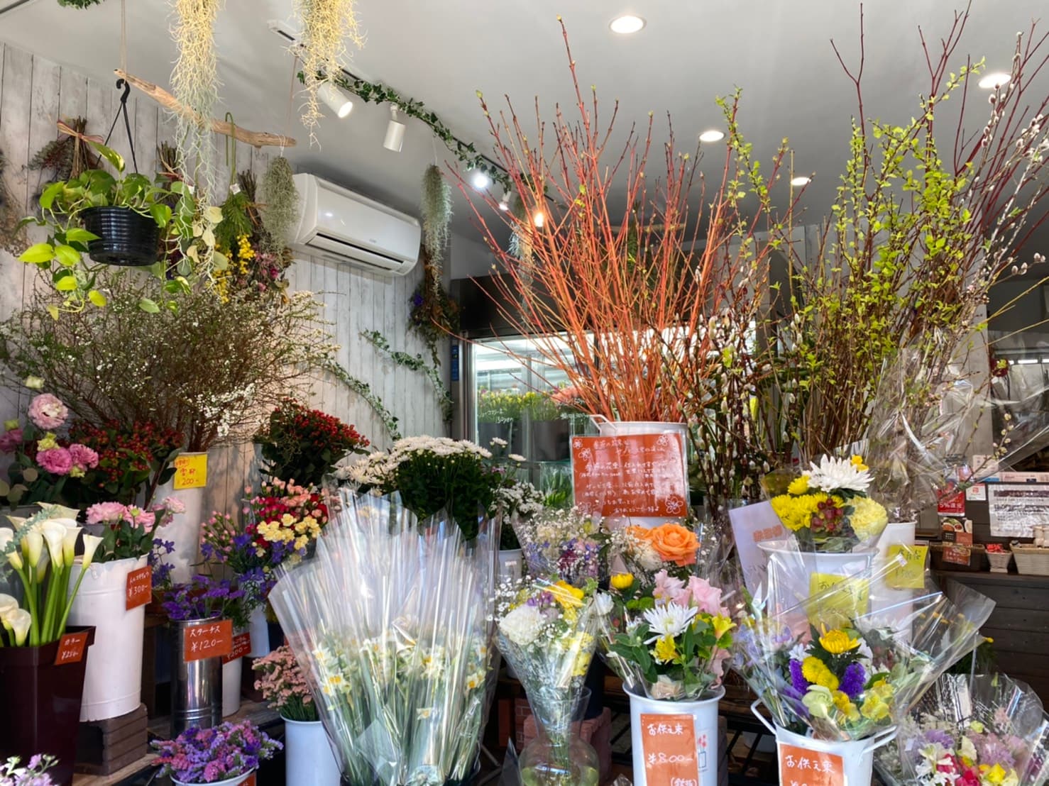 スペース画像 7