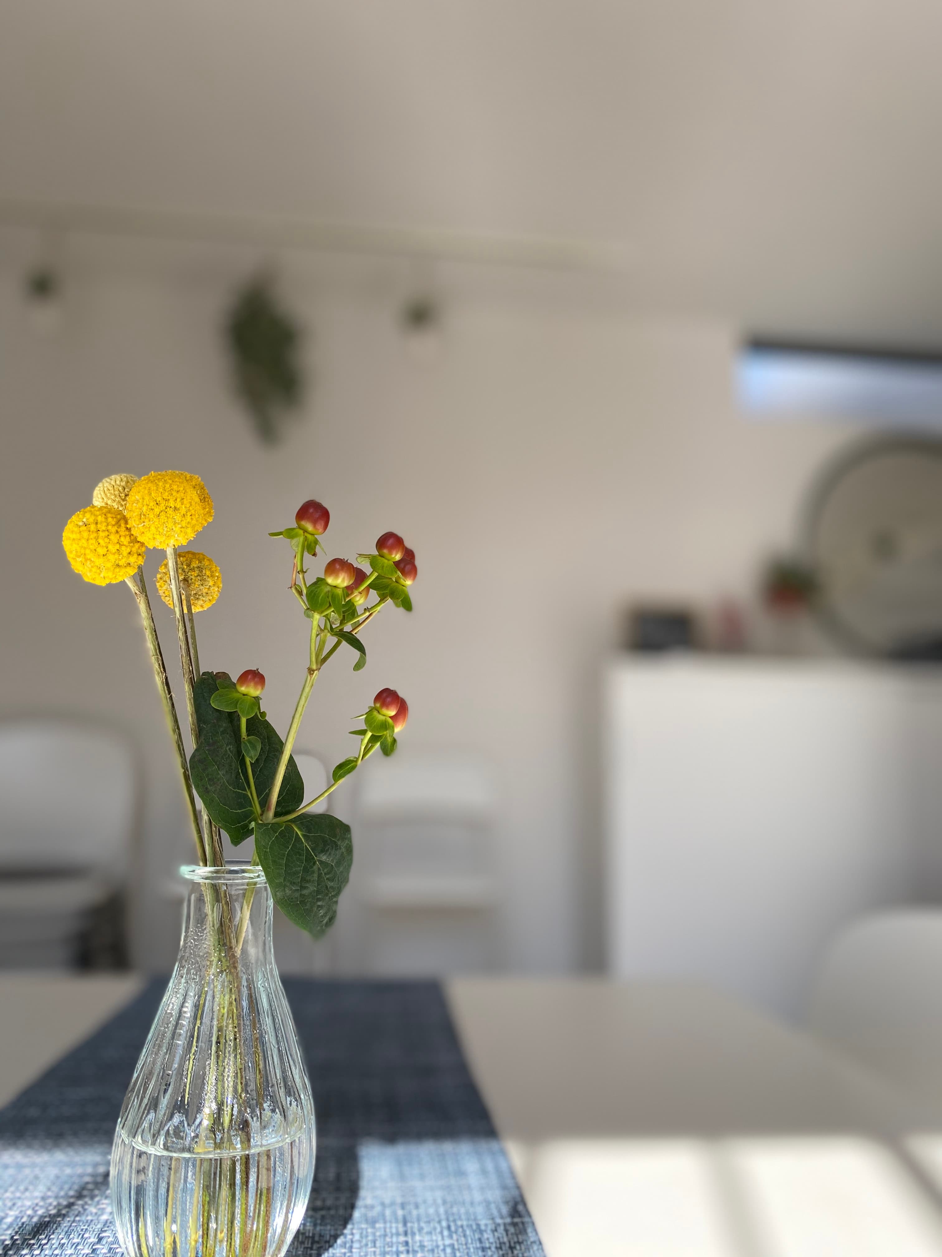 スペース画像 6