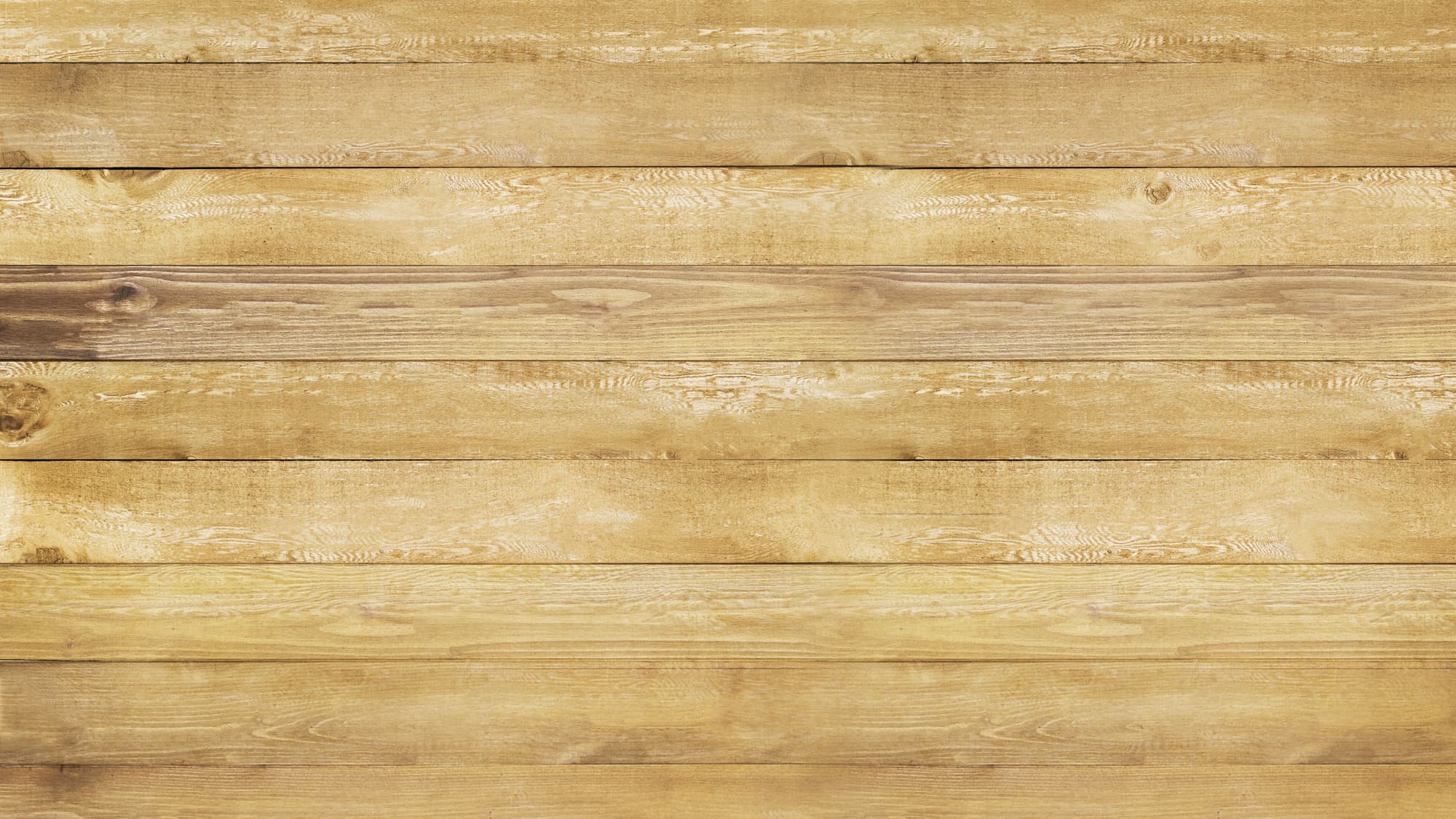 スペース画像 1