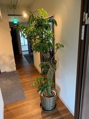 スペース画像 3