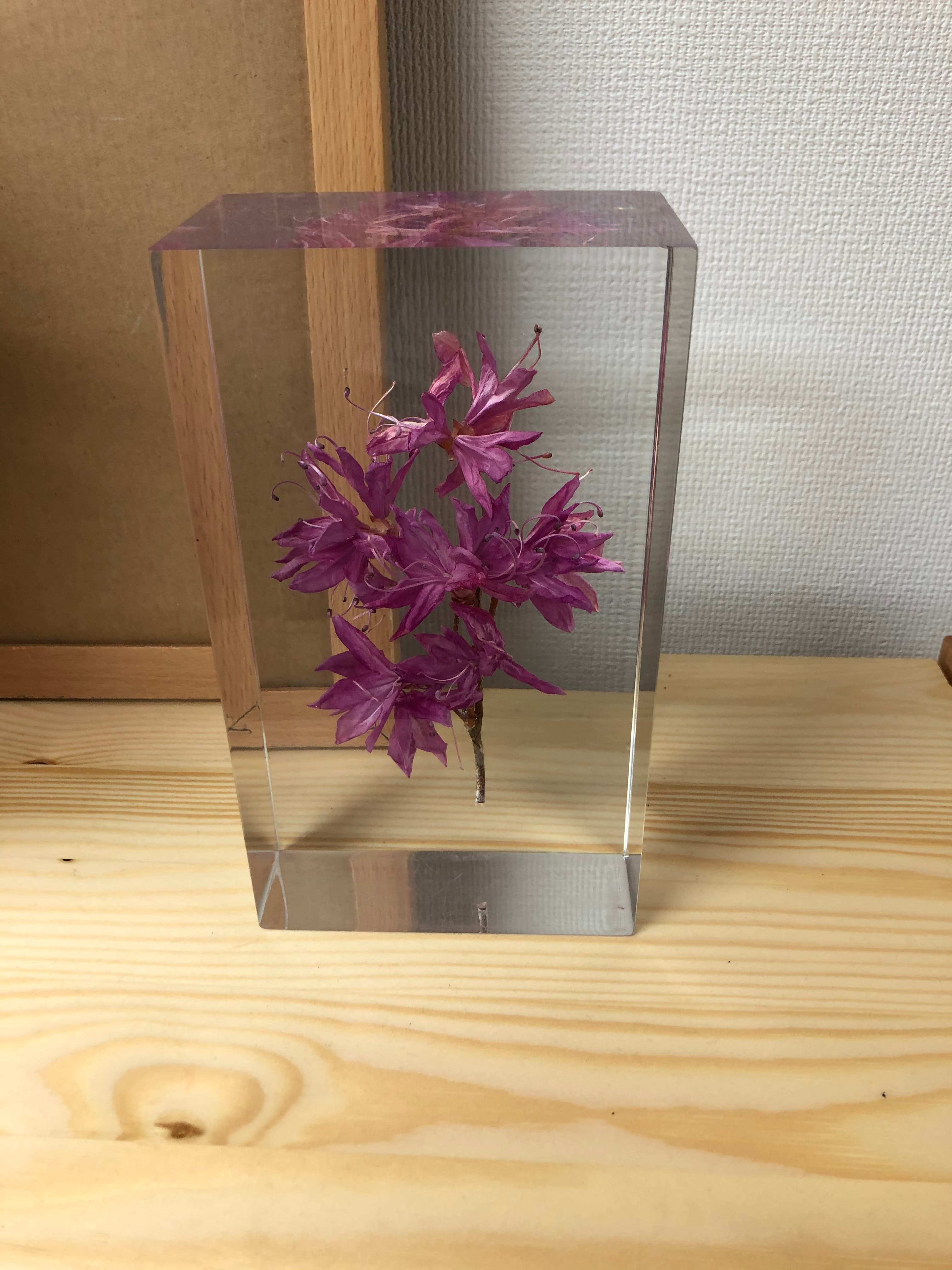 スペース画像 10